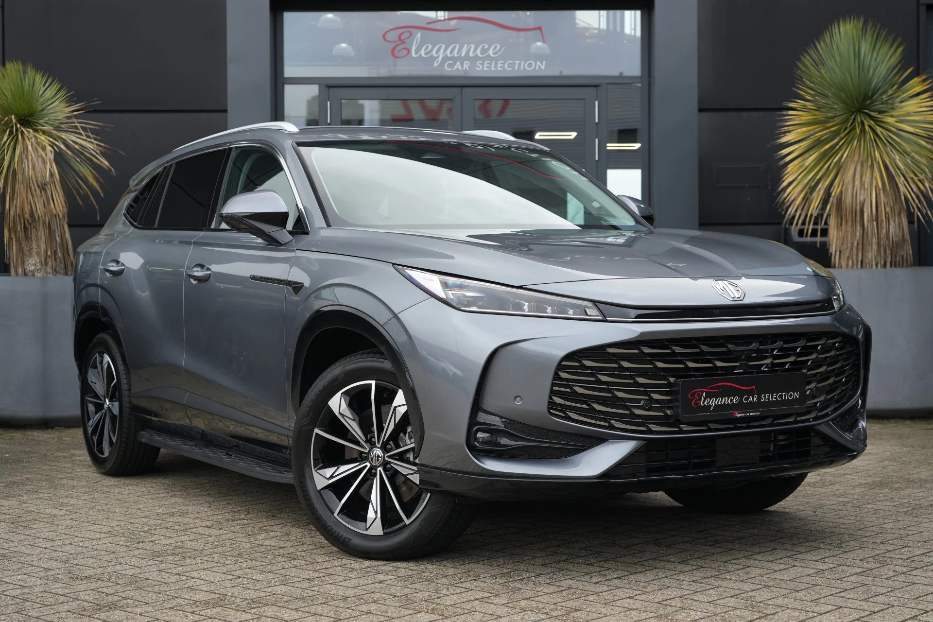 Hoofdafbeelding MG HS