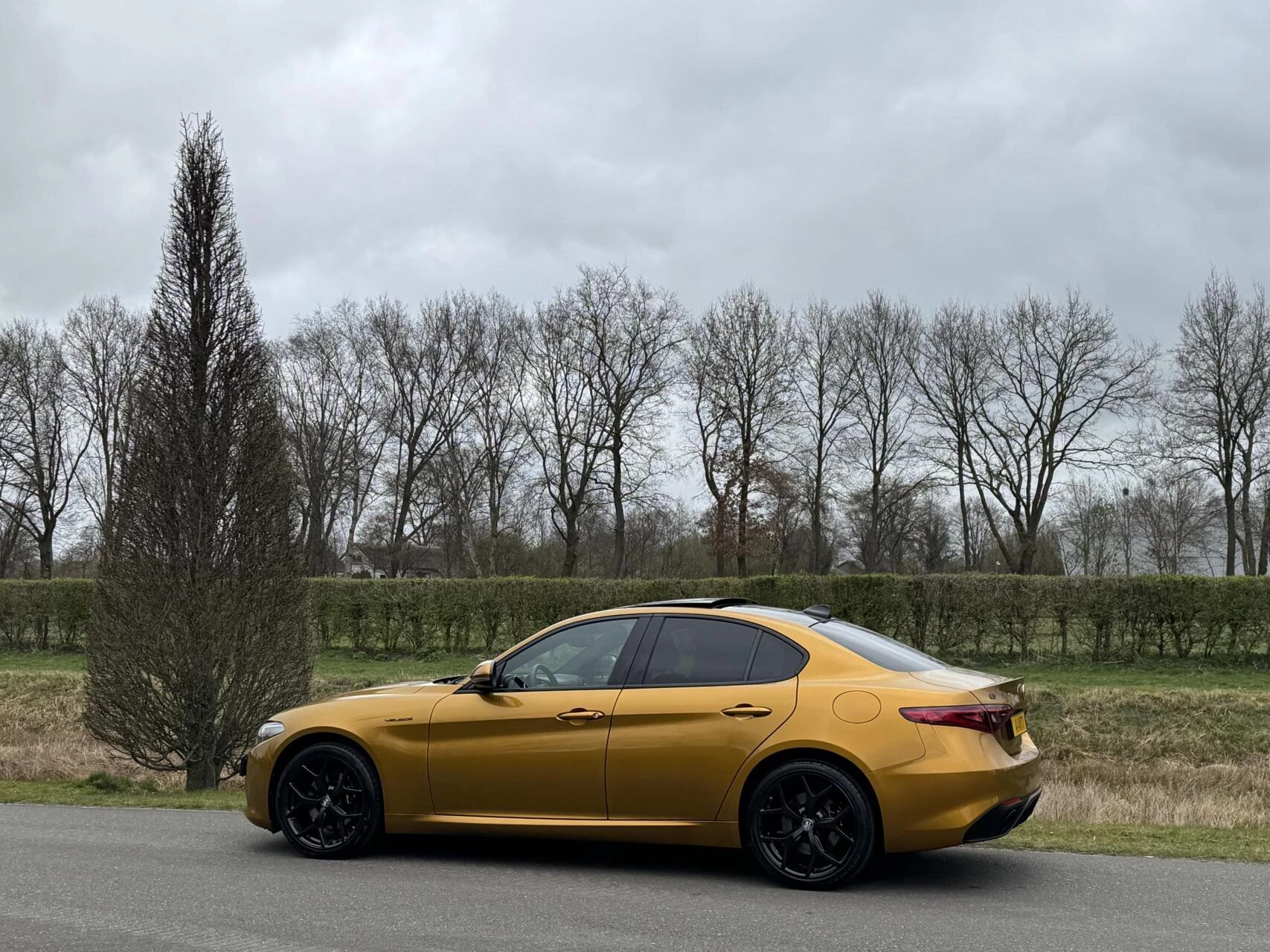 Hoofdafbeelding Alfa Romeo Giulia