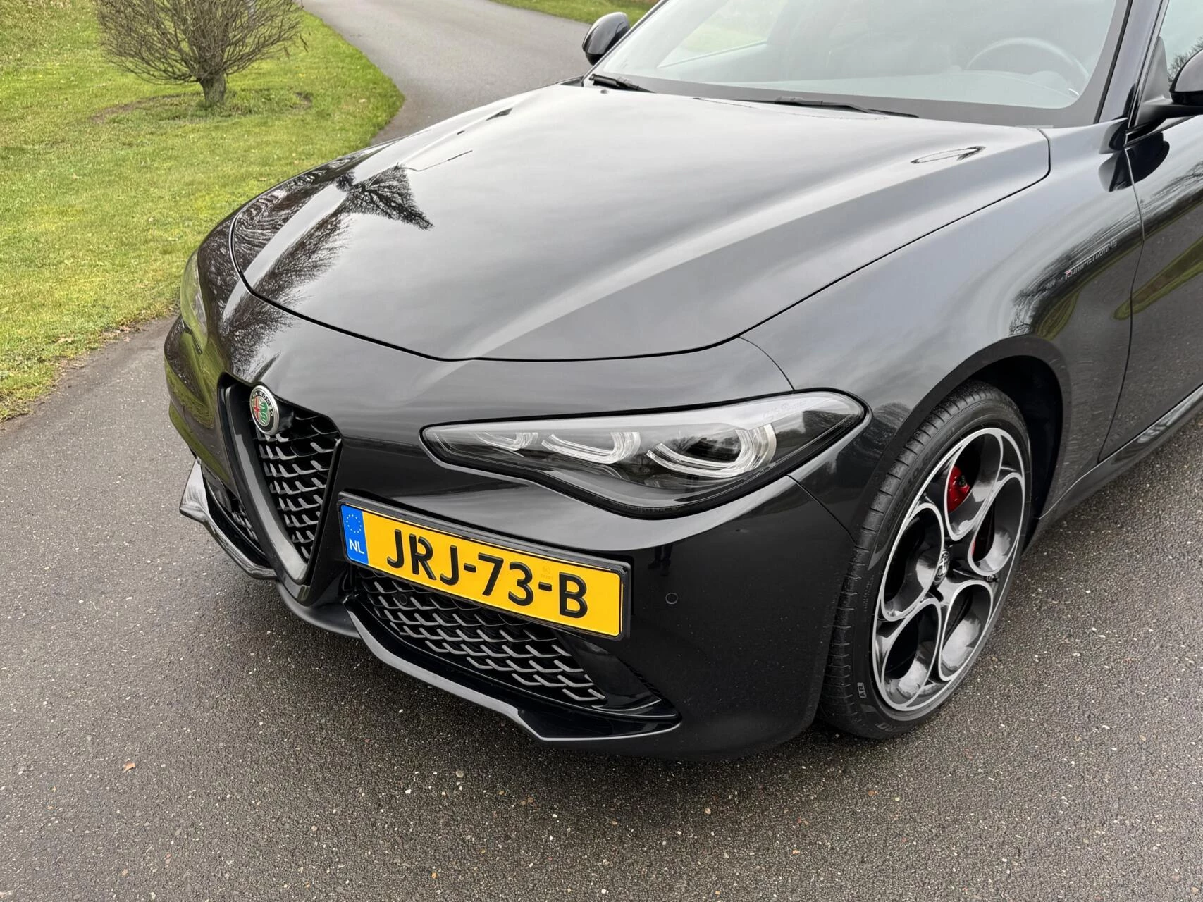 Hoofdafbeelding Alfa Romeo Giulia