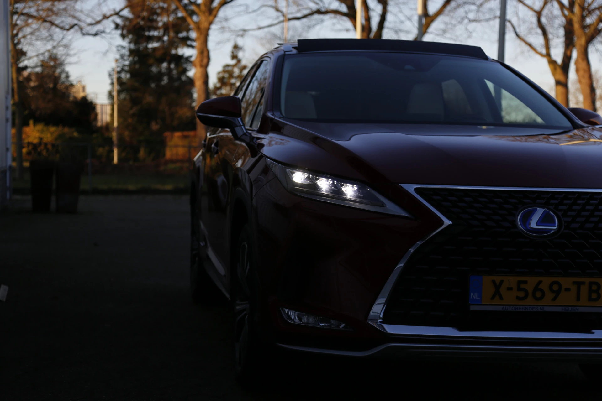 Hoofdafbeelding Lexus RX