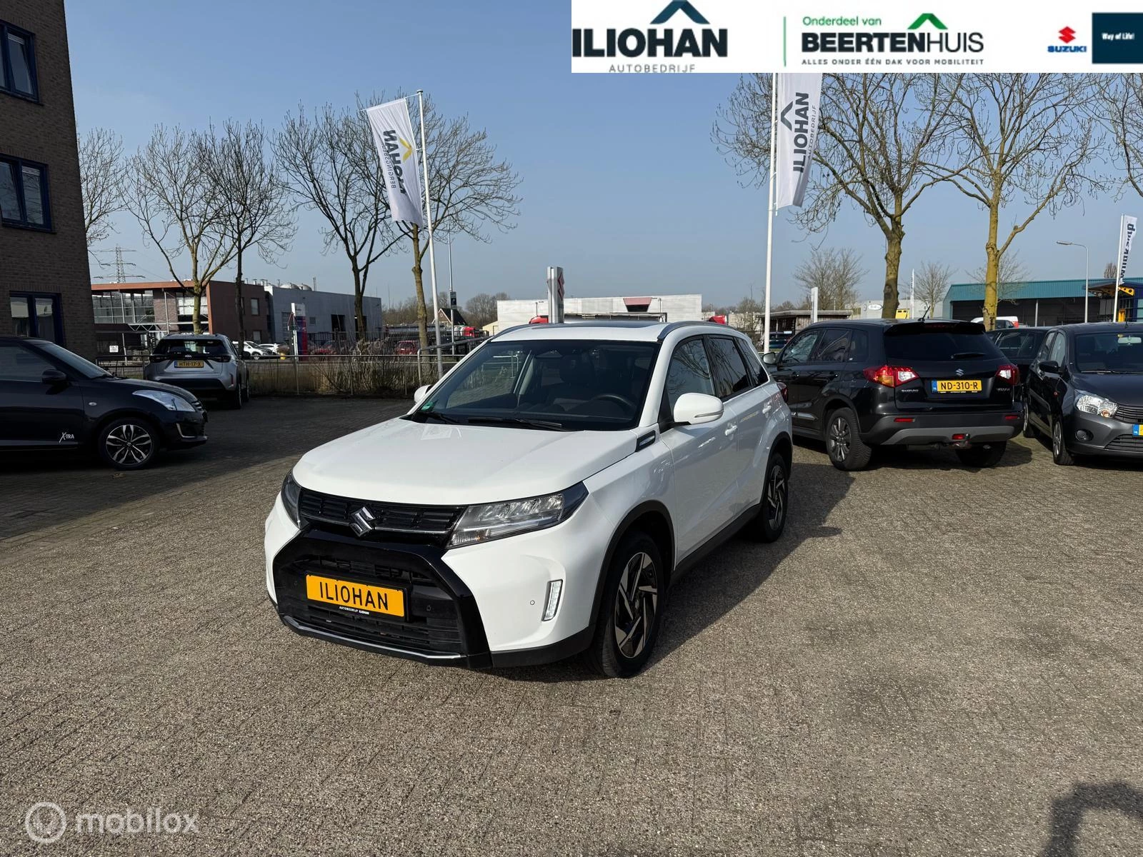 Hoofdafbeelding Suzuki Vitara