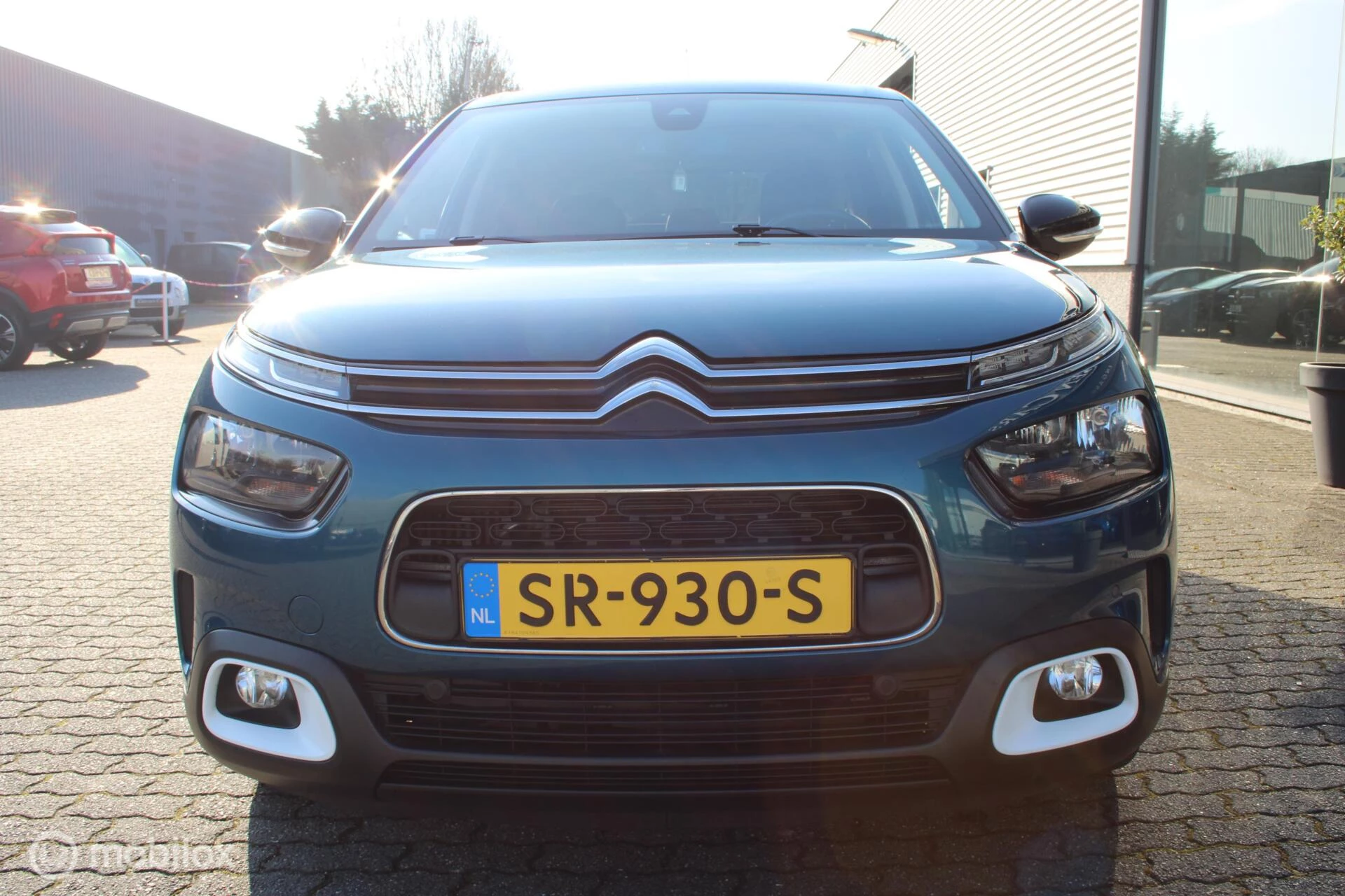 Hoofdafbeelding Citroën C4 Cactus