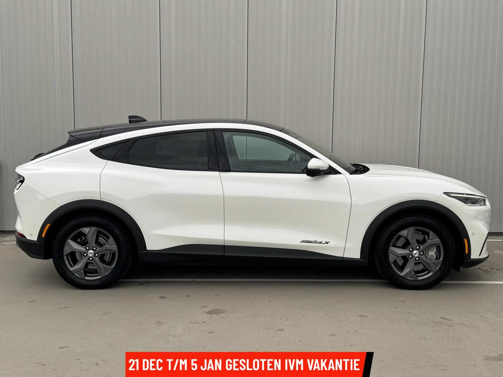 Hoofdafbeelding Ford Mustang Mach-E