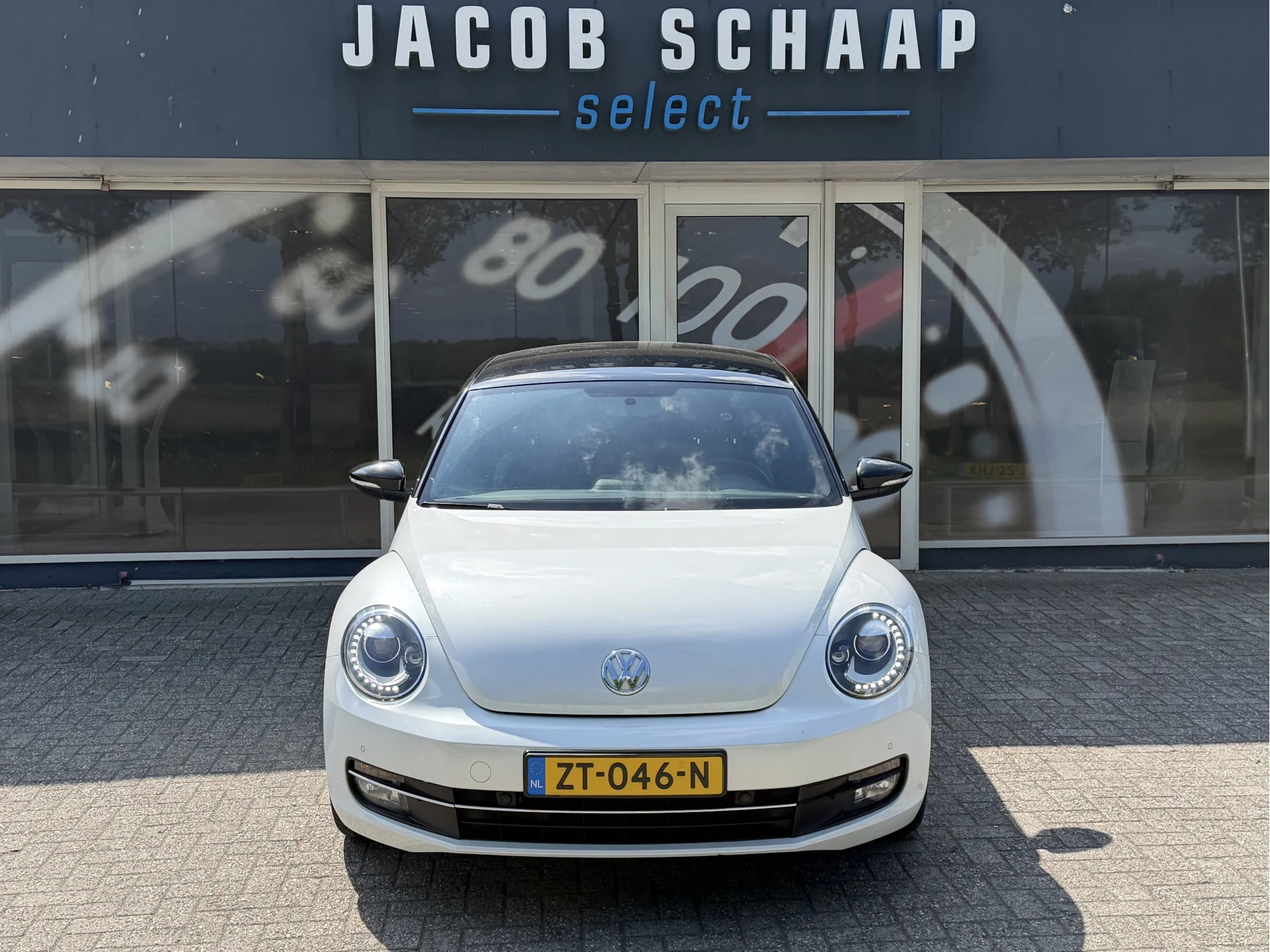 Hoofdafbeelding Volkswagen Beetle