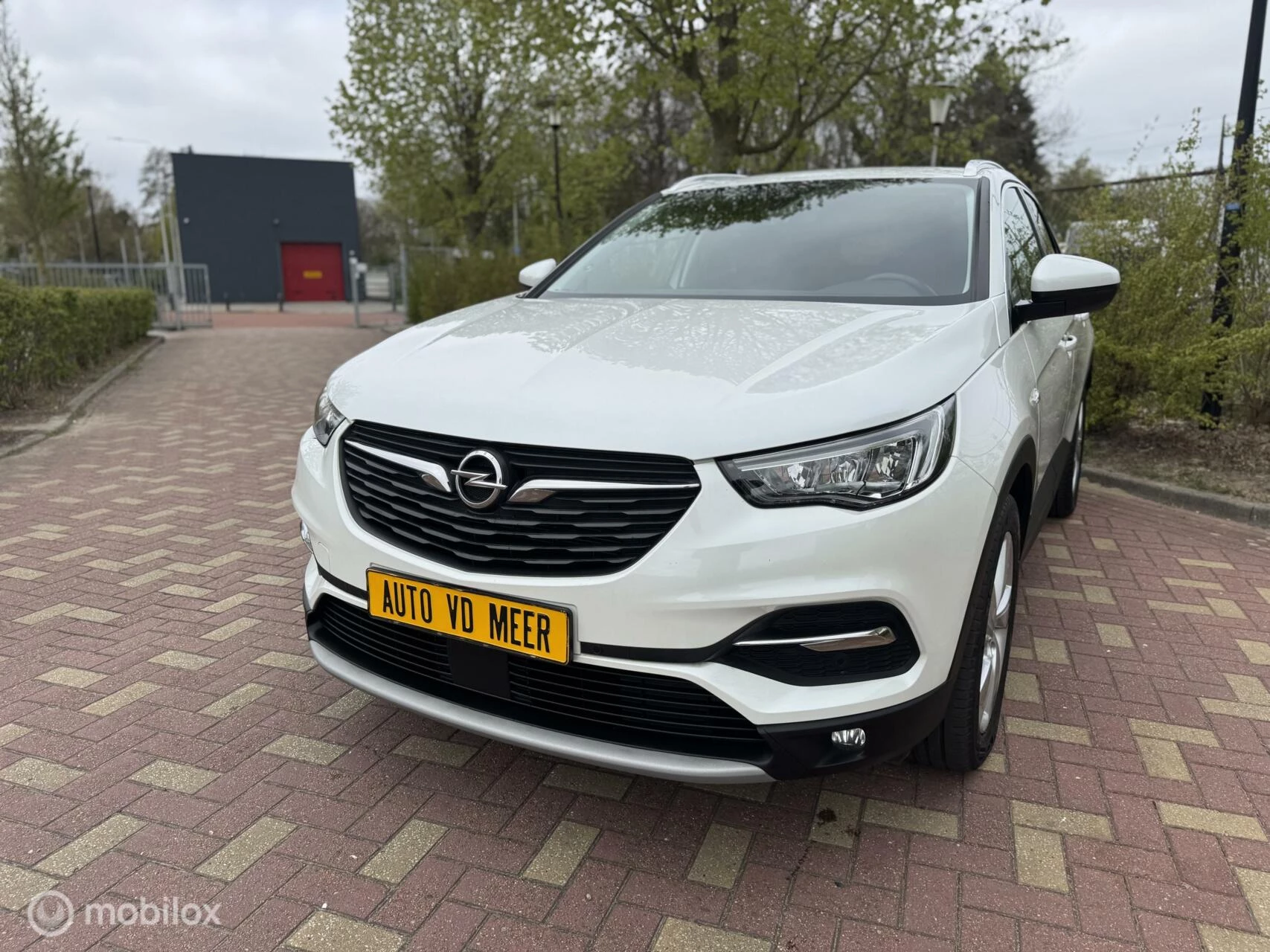 Hoofdafbeelding Opel Grandland X