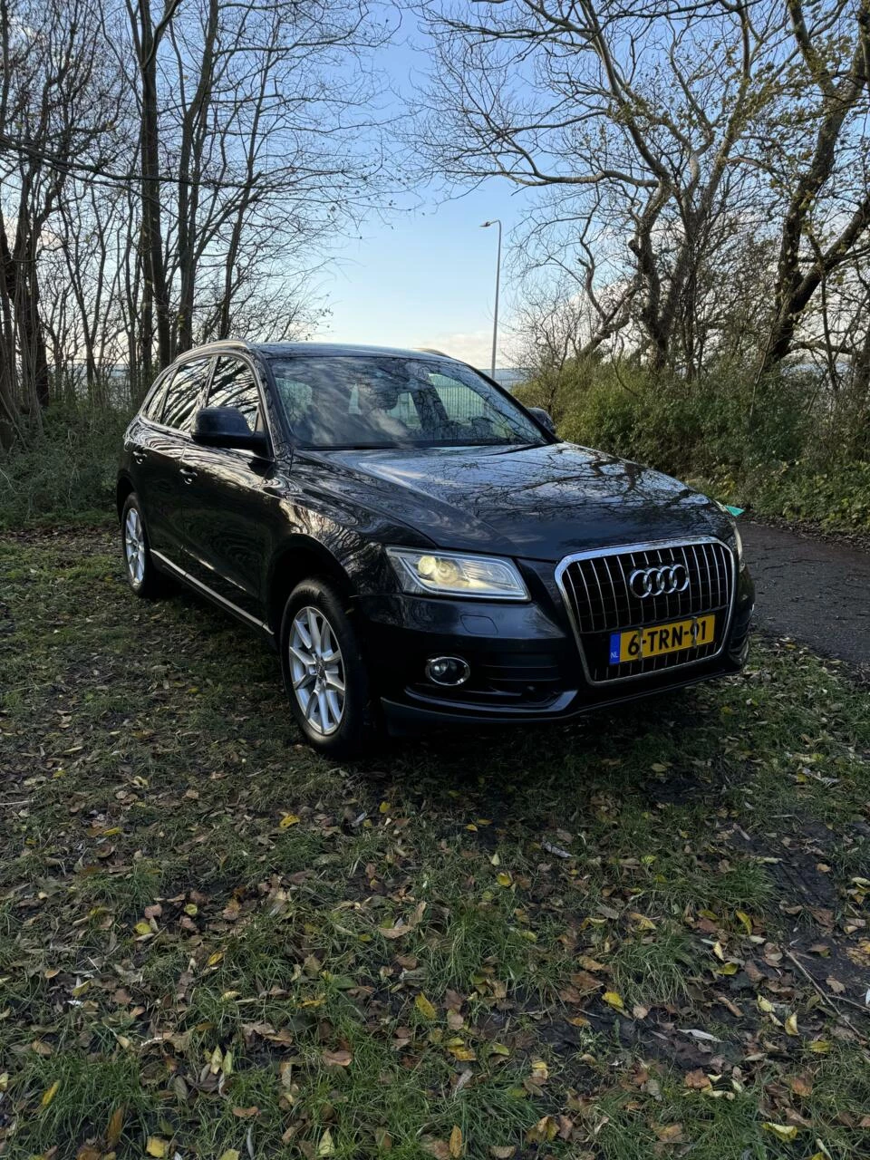 Hoofdafbeelding Audi Q5