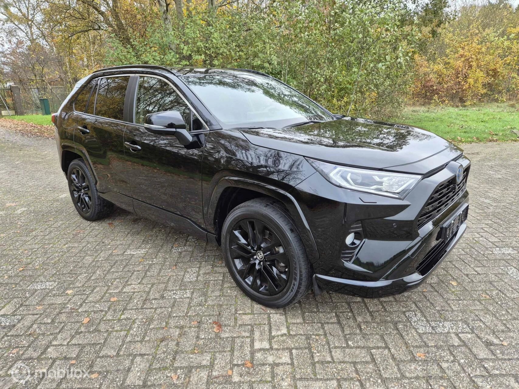 Hoofdafbeelding Toyota RAV4