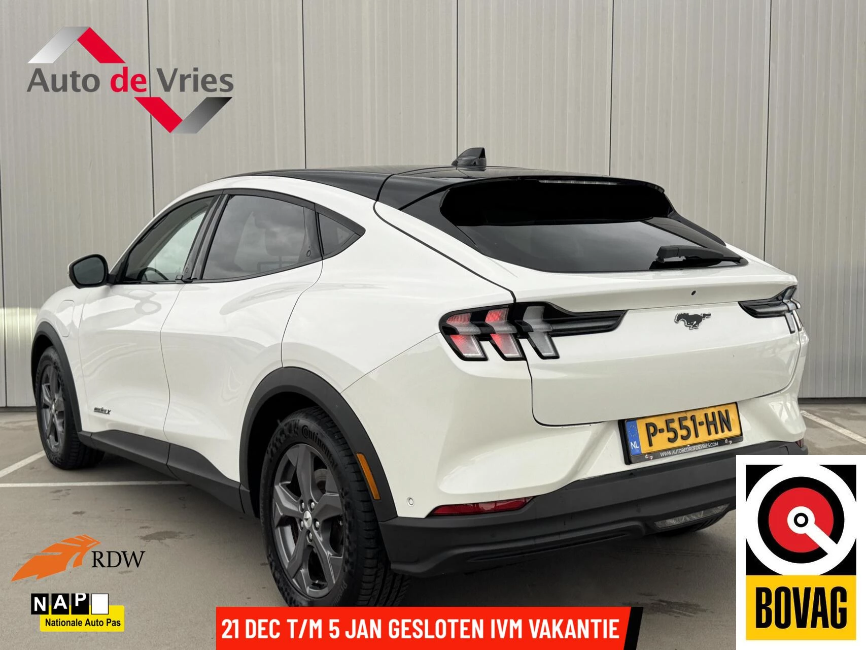 Hoofdafbeelding Ford Mustang Mach-E