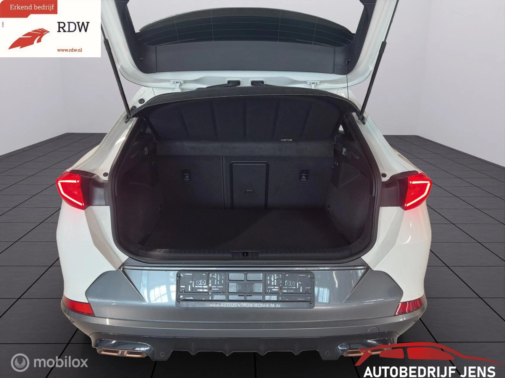 Hoofdafbeelding CUPRA Formentor