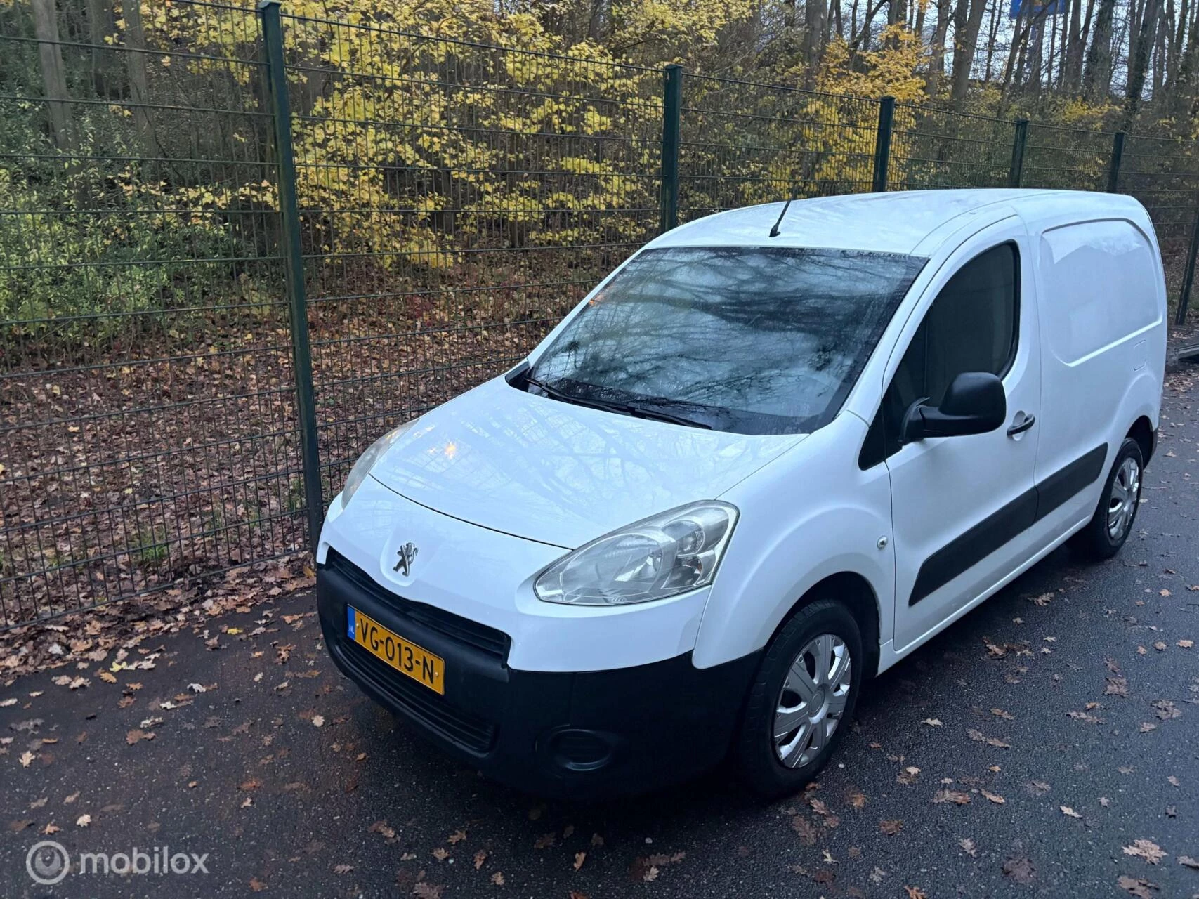 Hoofdafbeelding Peugeot Partner