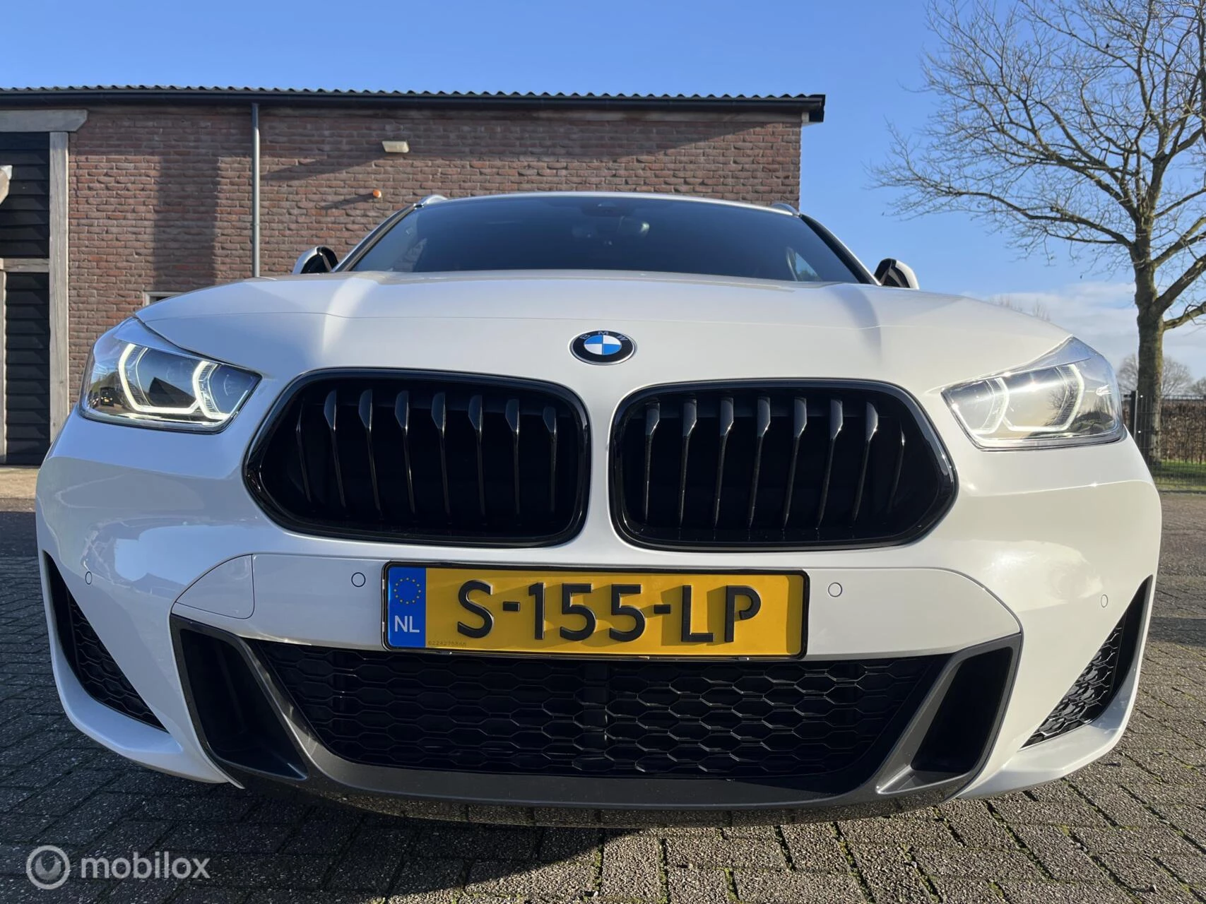 Hoofdafbeelding BMW X2