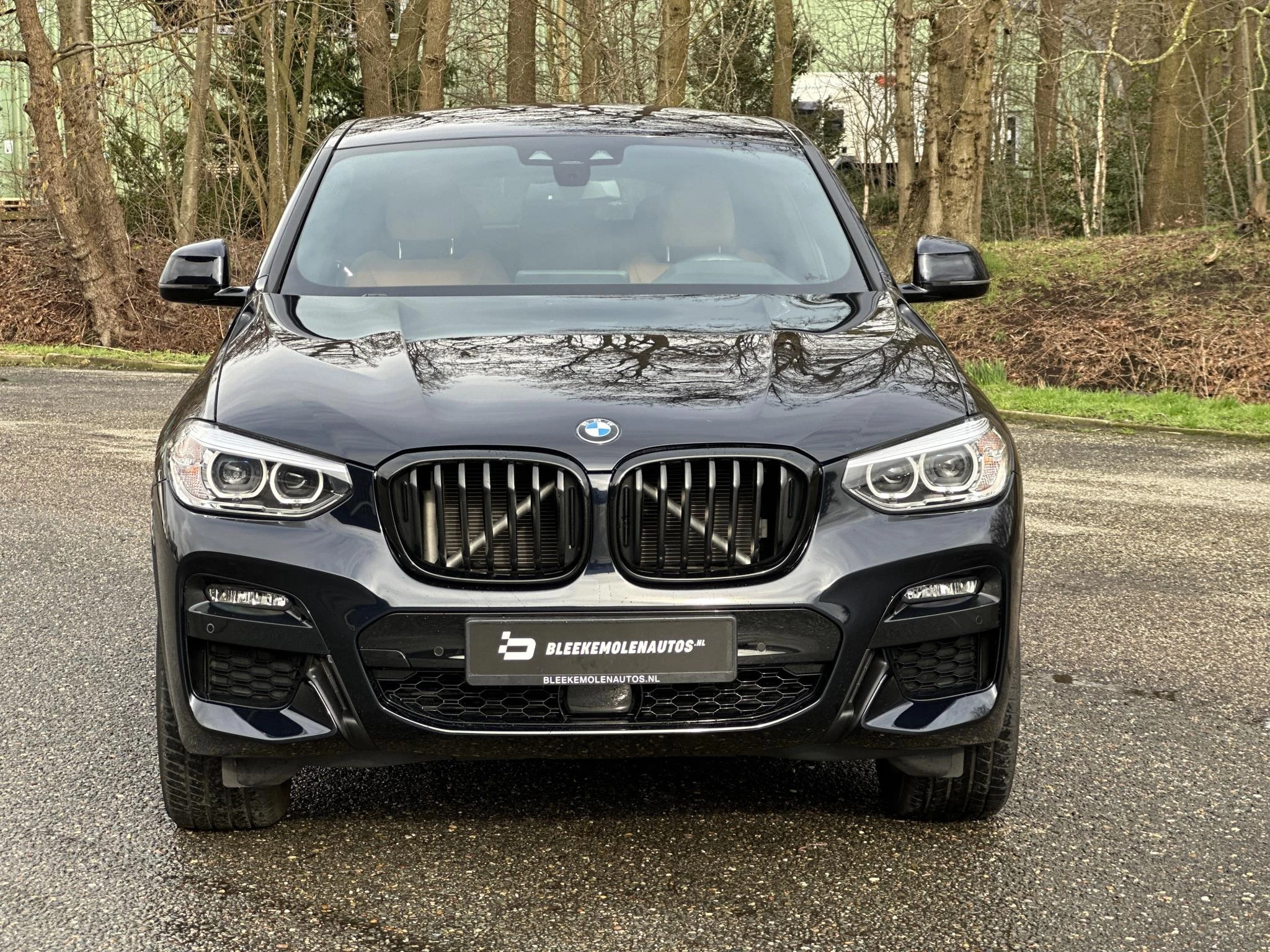 Hoofdafbeelding BMW X4