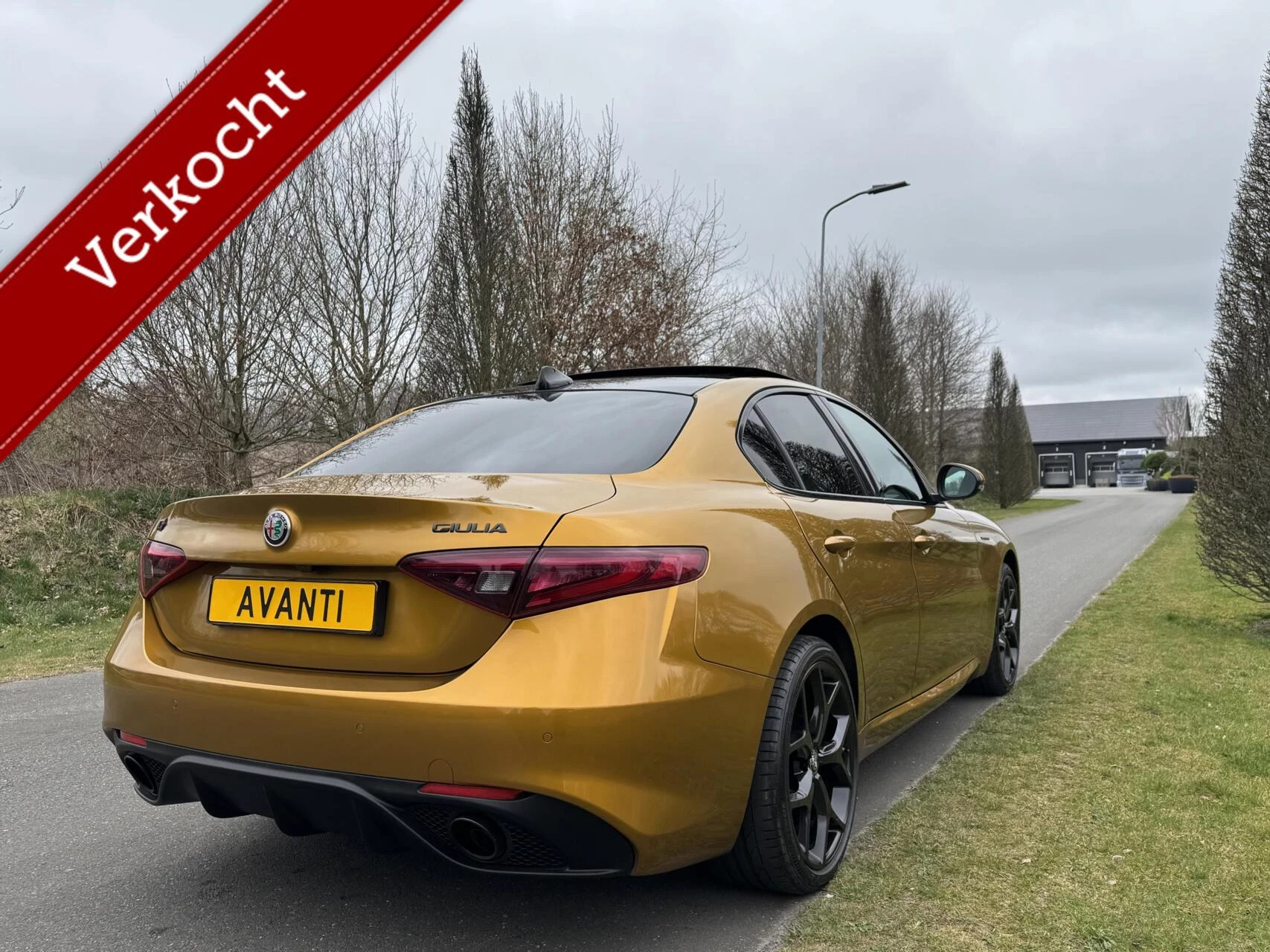 Hoofdafbeelding Alfa Romeo Giulia