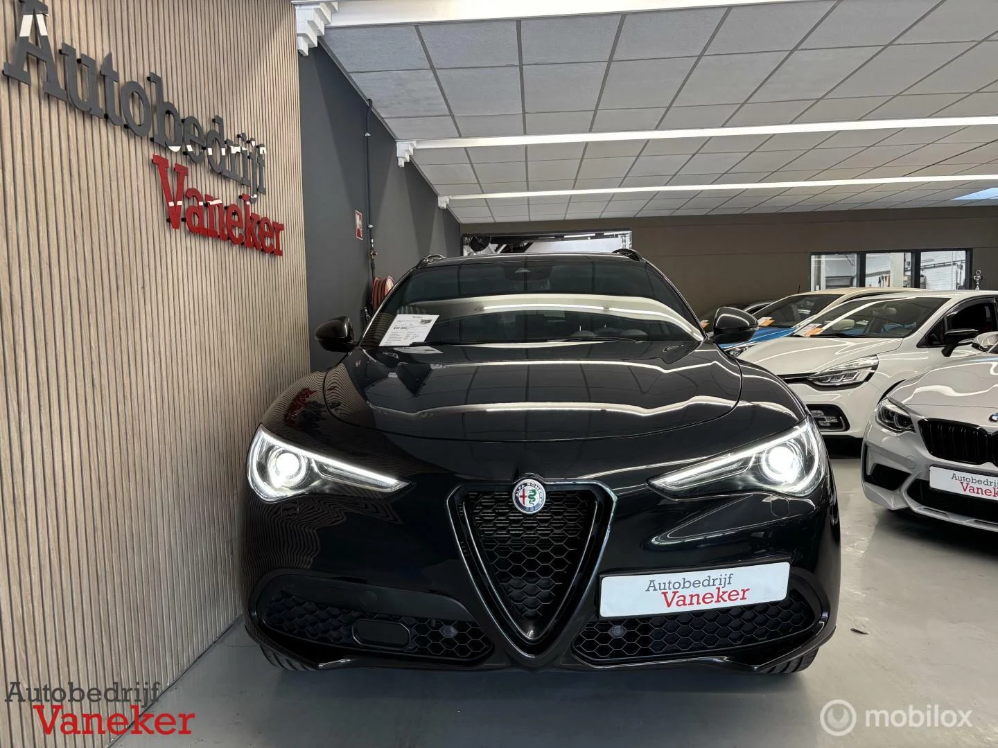 Hoofdafbeelding Alfa Romeo Stelvio