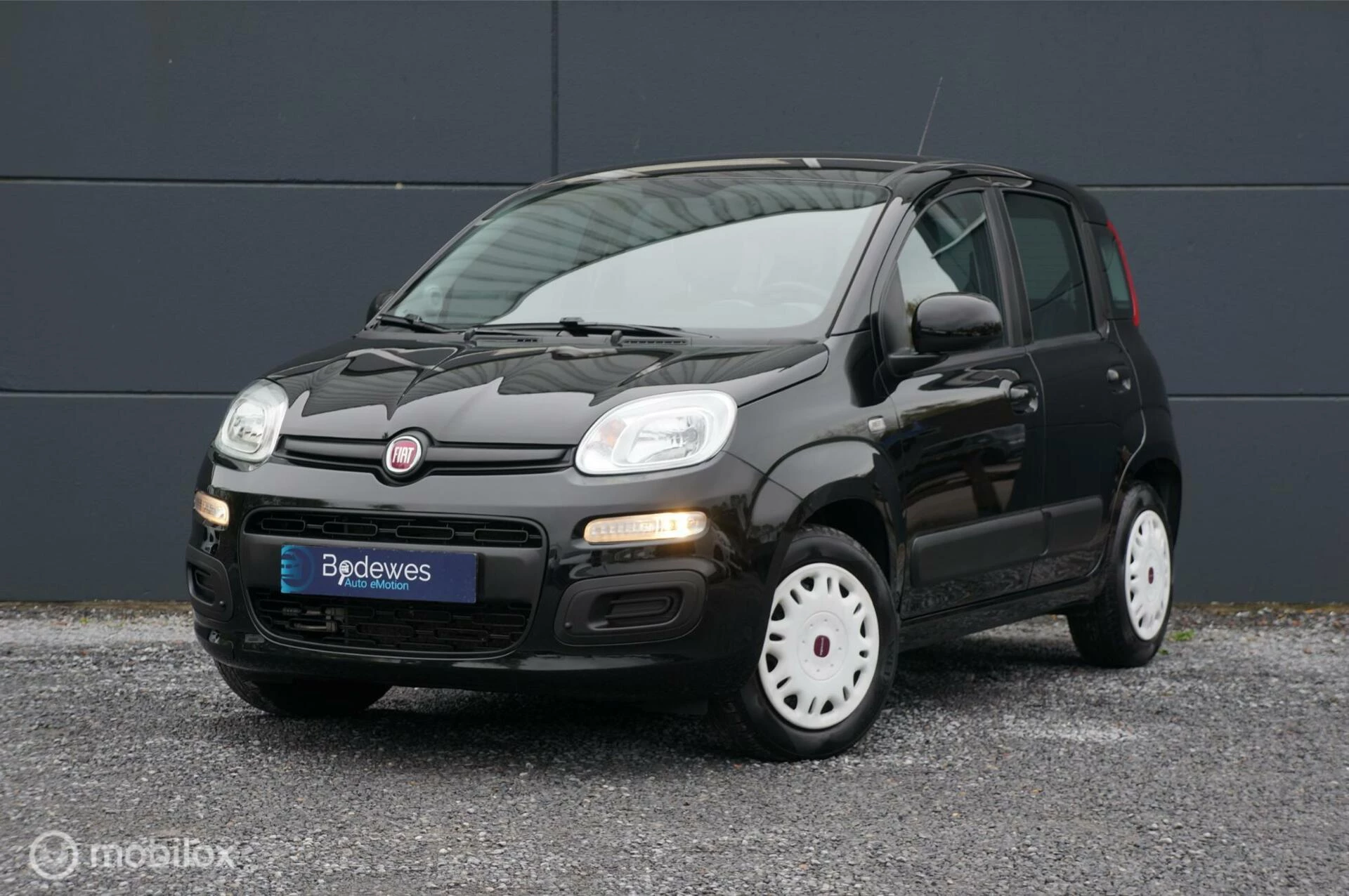 Hoofdafbeelding Fiat Panda