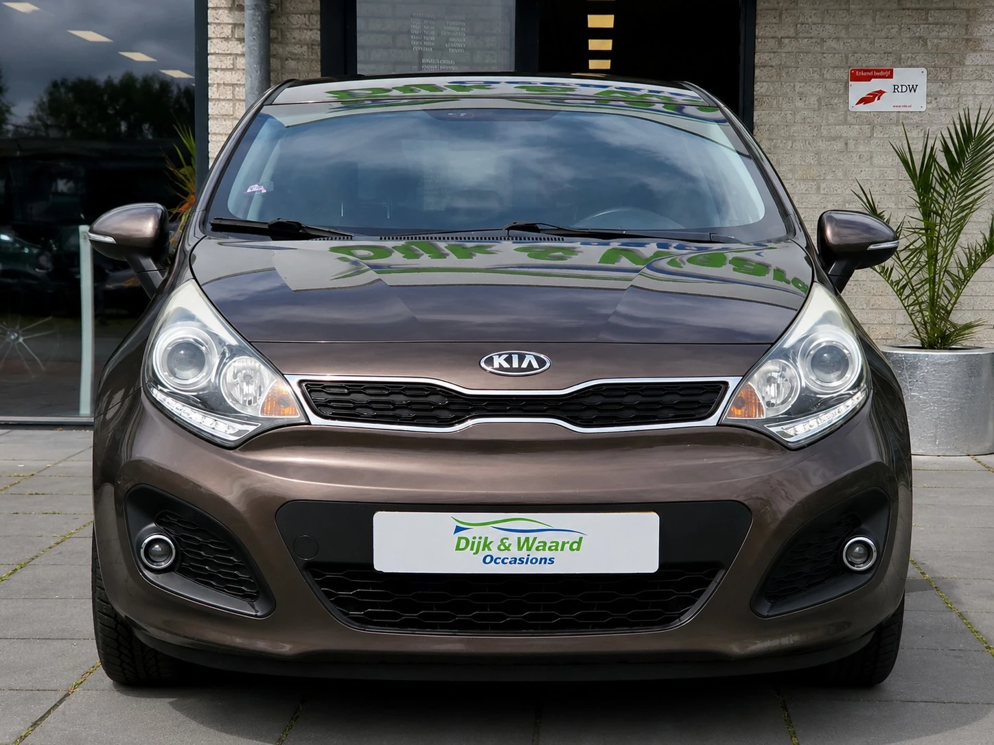 Hoofdafbeelding Kia Rio