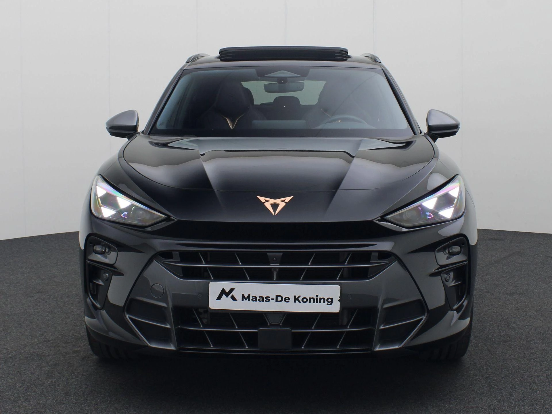 Hoofdafbeelding CUPRA Terramar