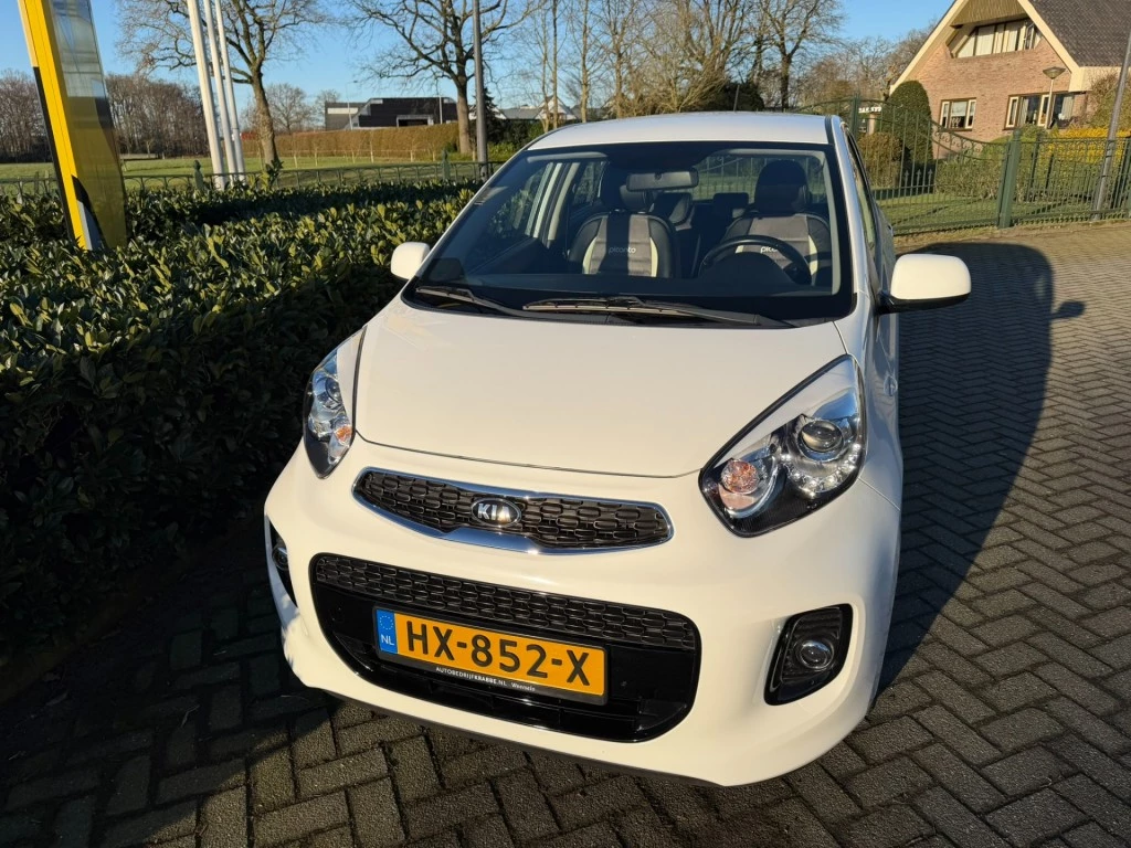 Hoofdafbeelding Kia Picanto