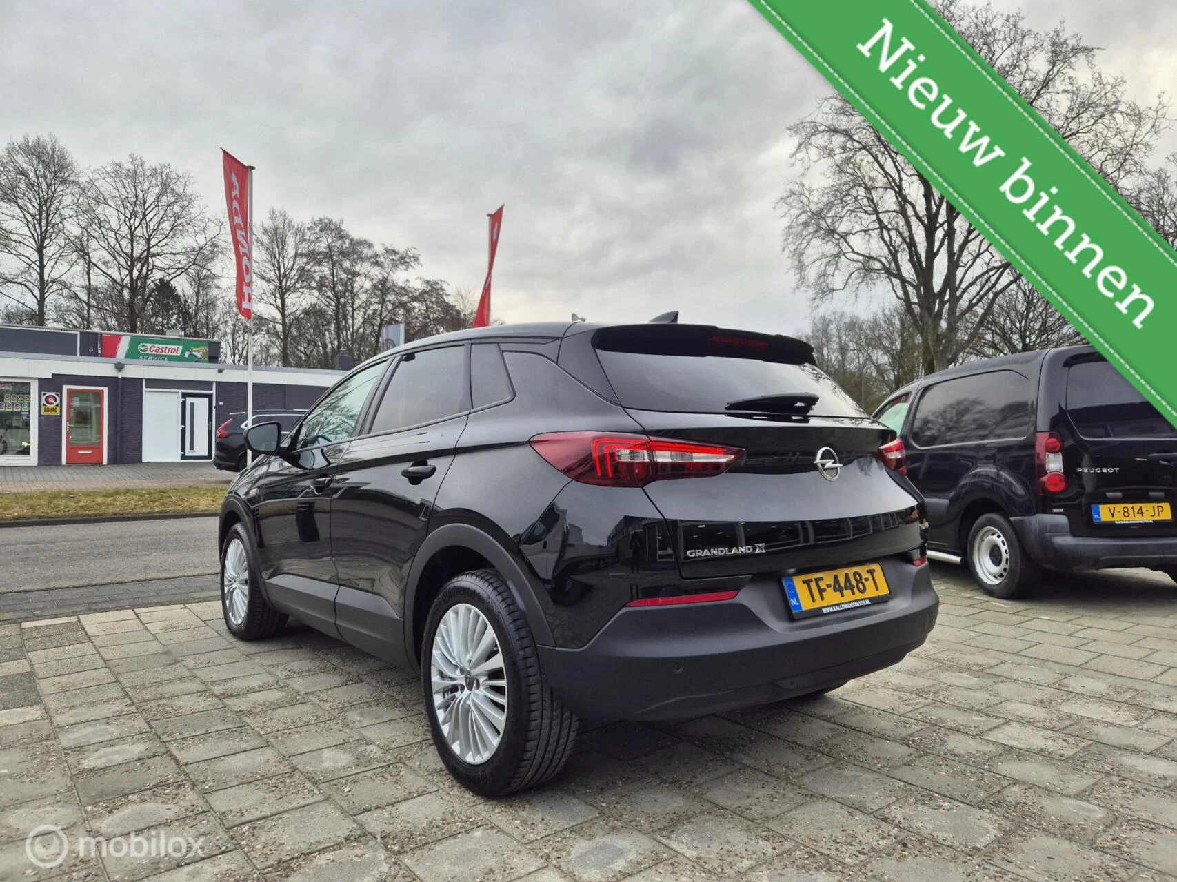 Hoofdafbeelding Opel Grandland X