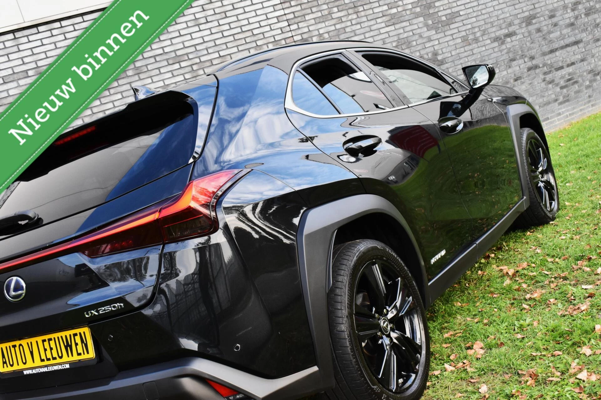 Hoofdafbeelding Lexus UX