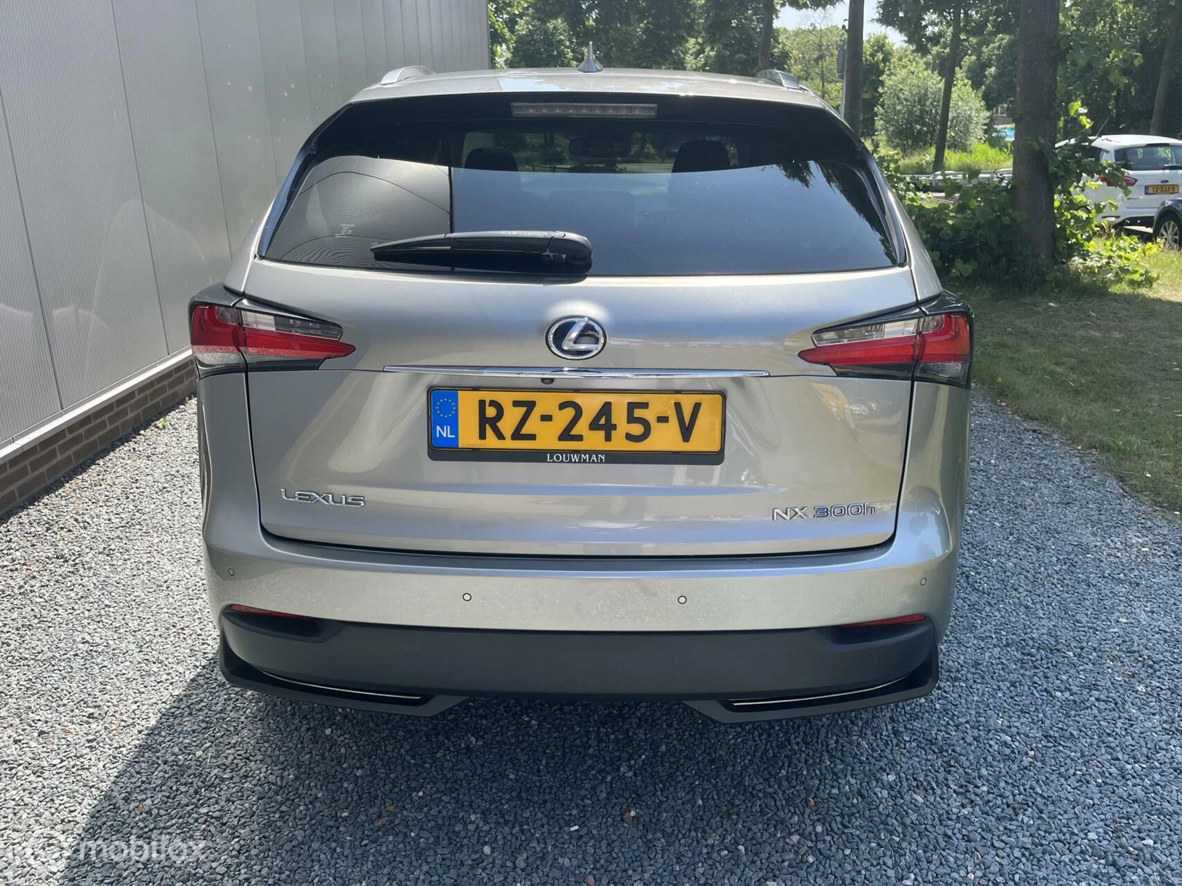 Hoofdafbeelding Lexus NX