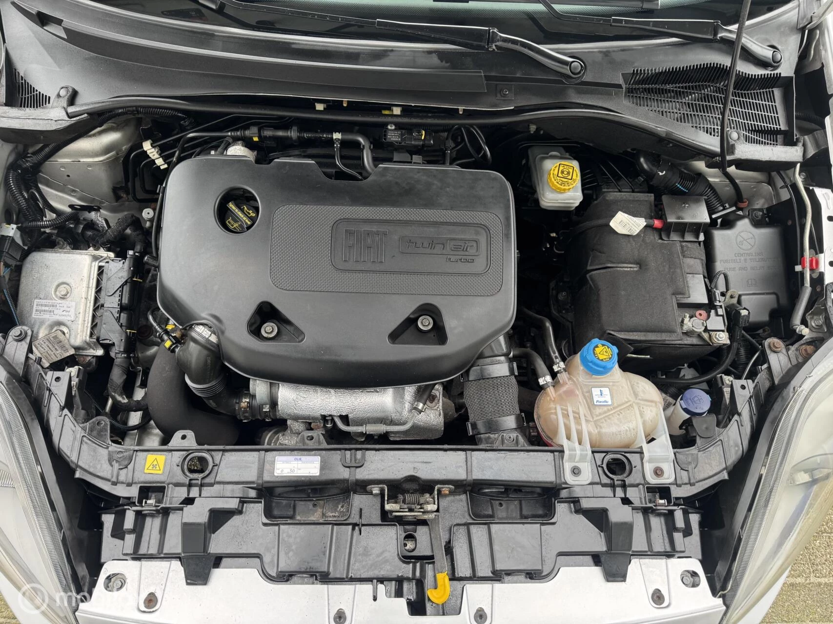 Hoofdafbeelding Fiat Punto