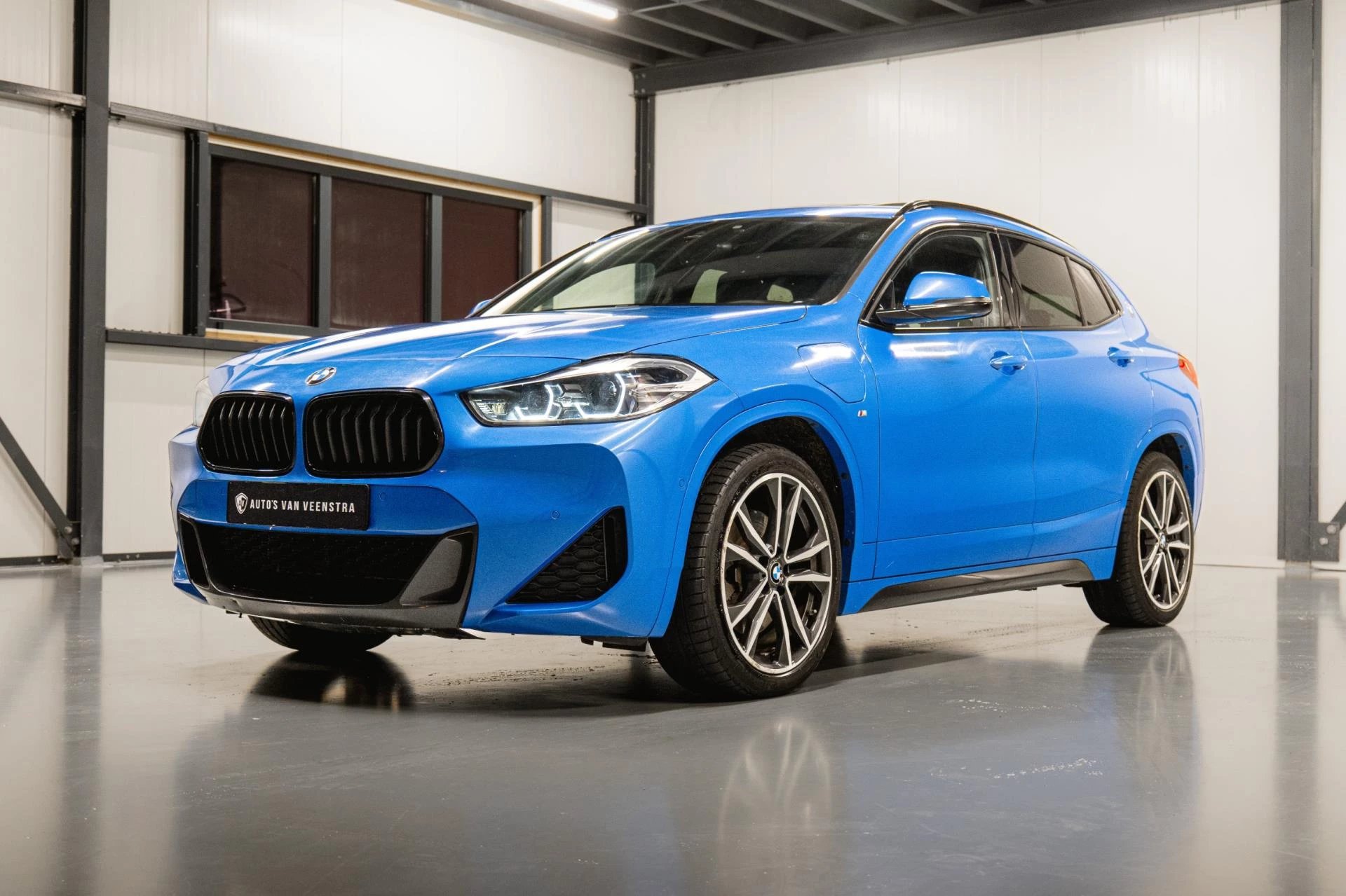 Hoofdafbeelding BMW X2