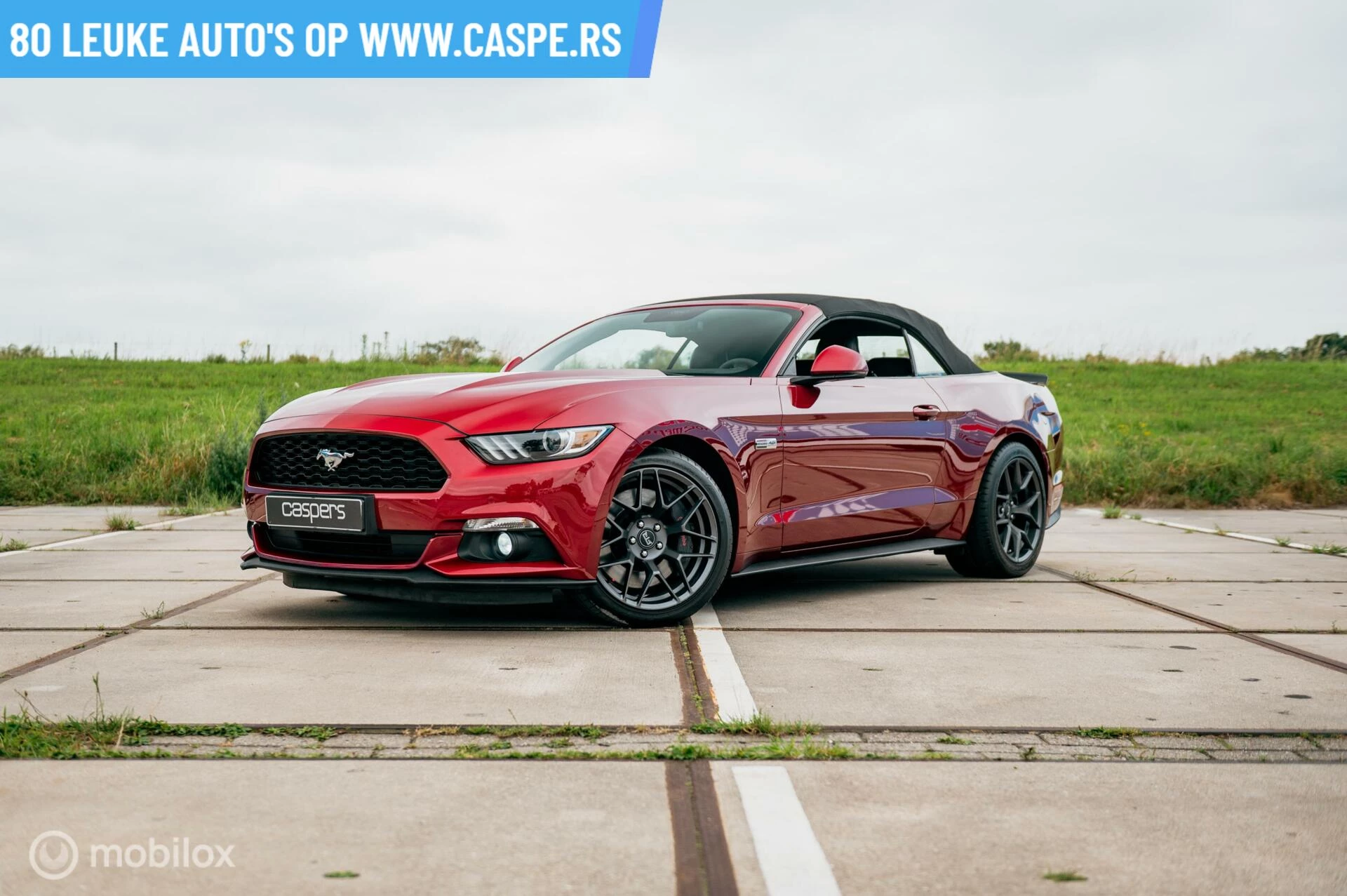 Hoofdafbeelding Ford Mustang