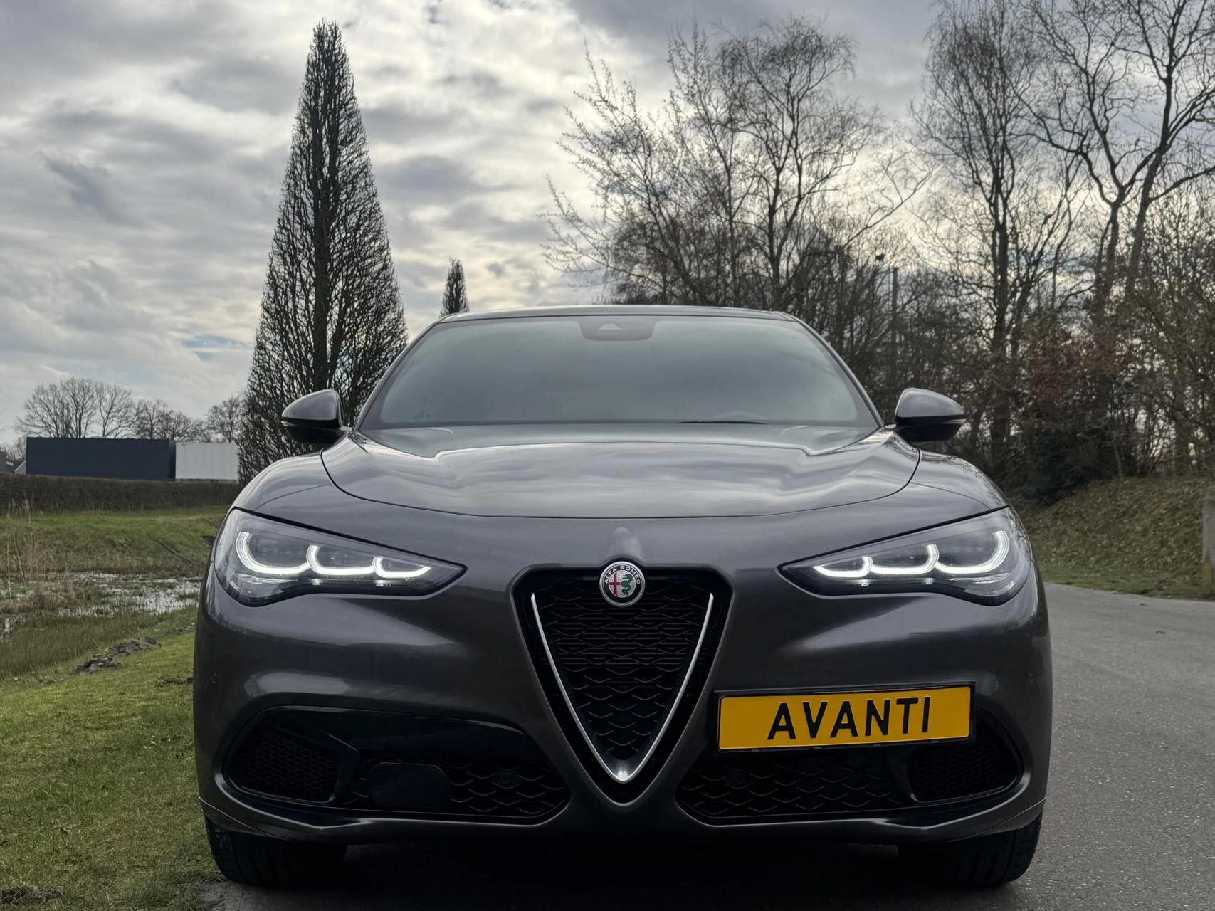 Hoofdafbeelding Alfa Romeo Stelvio