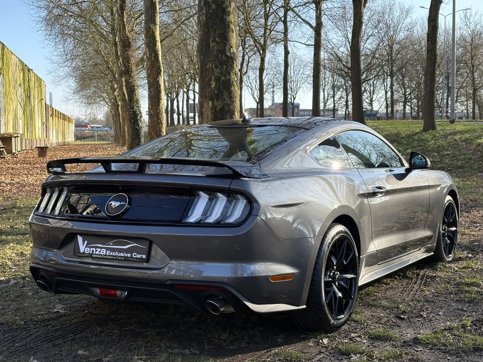 Hoofdafbeelding Ford Mustang