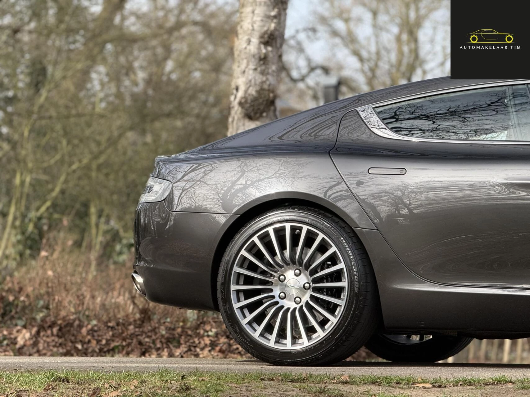Hoofdafbeelding Aston Martin Rapide