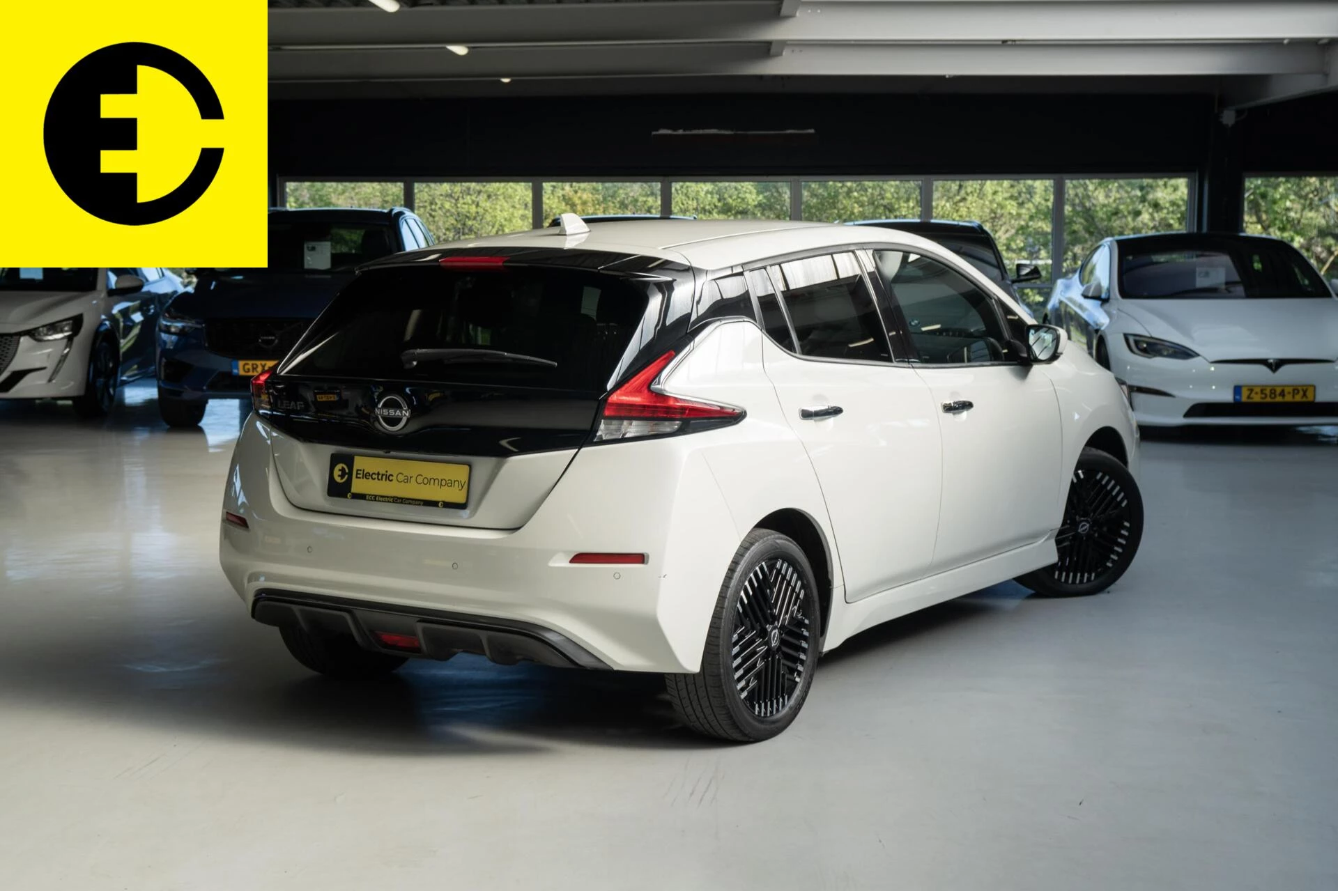 Hoofdafbeelding Nissan Leaf