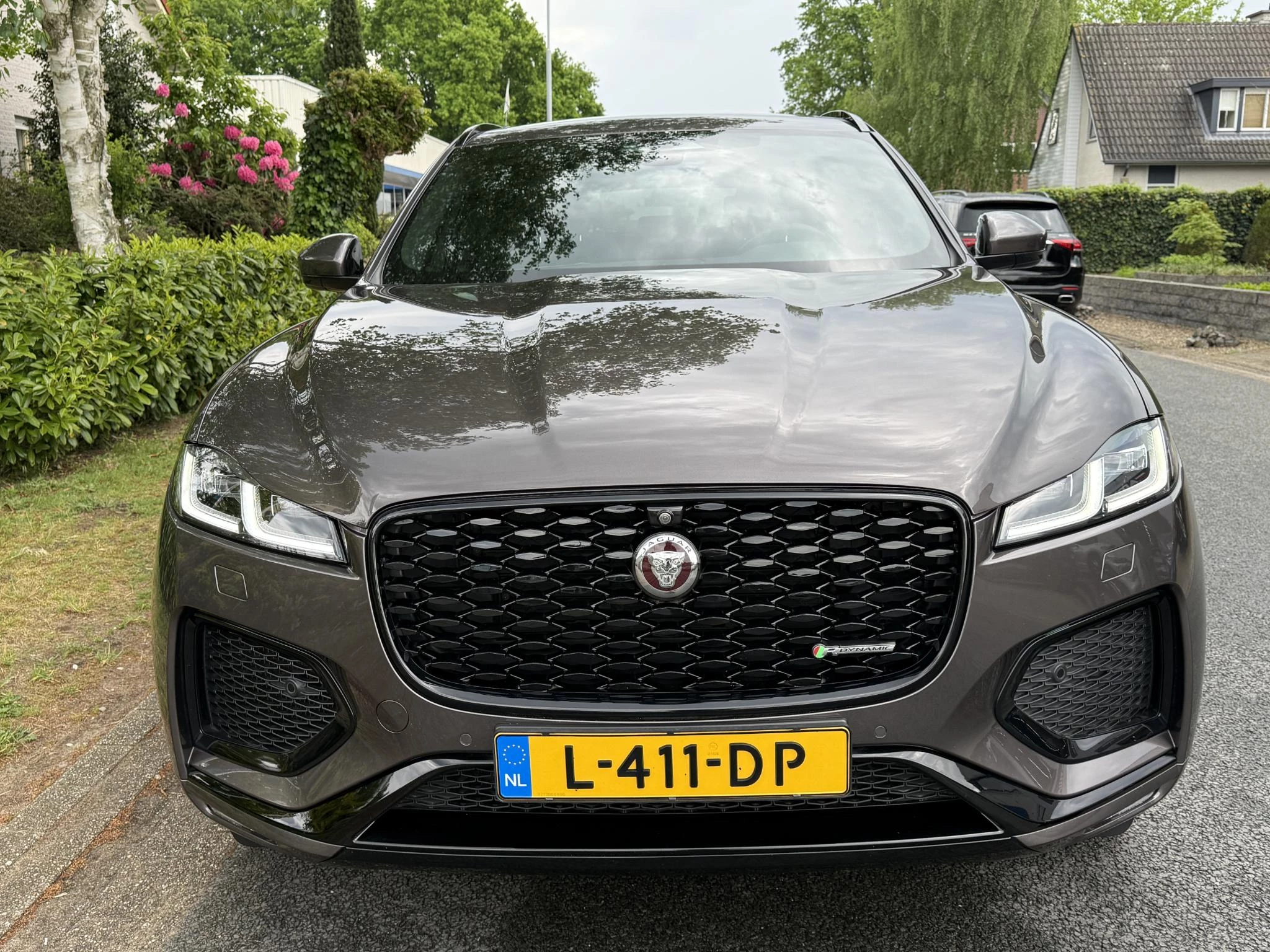 Hoofdafbeelding Jaguar F-PACE
