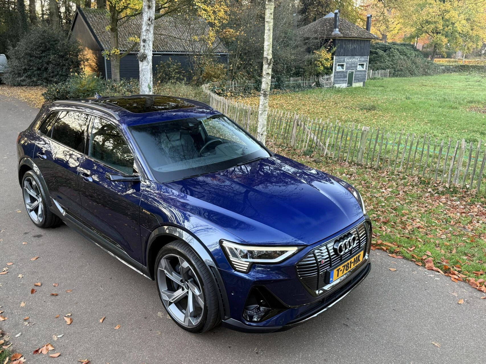 Hoofdafbeelding Audi e-tron
