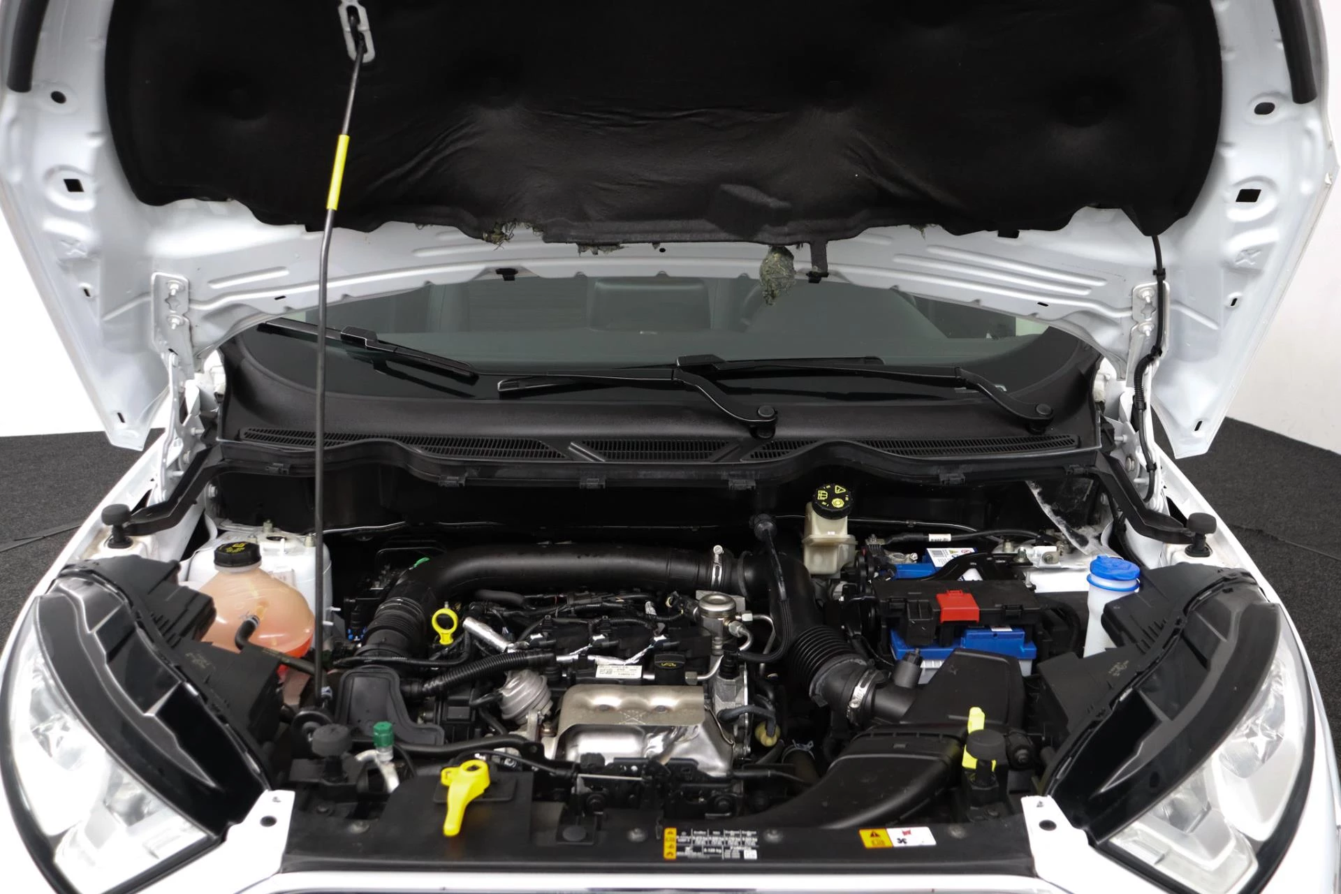 Hoofdafbeelding Ford EcoSport