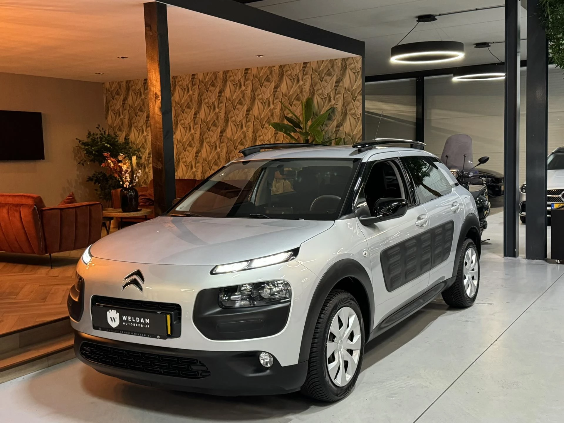 Hoofdafbeelding Citroën C4 Cactus