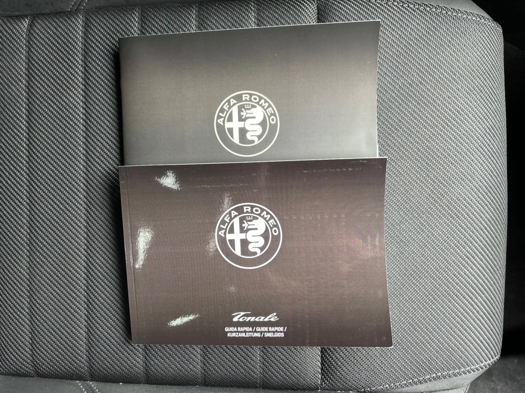 Hoofdafbeelding Alfa Romeo Tonale