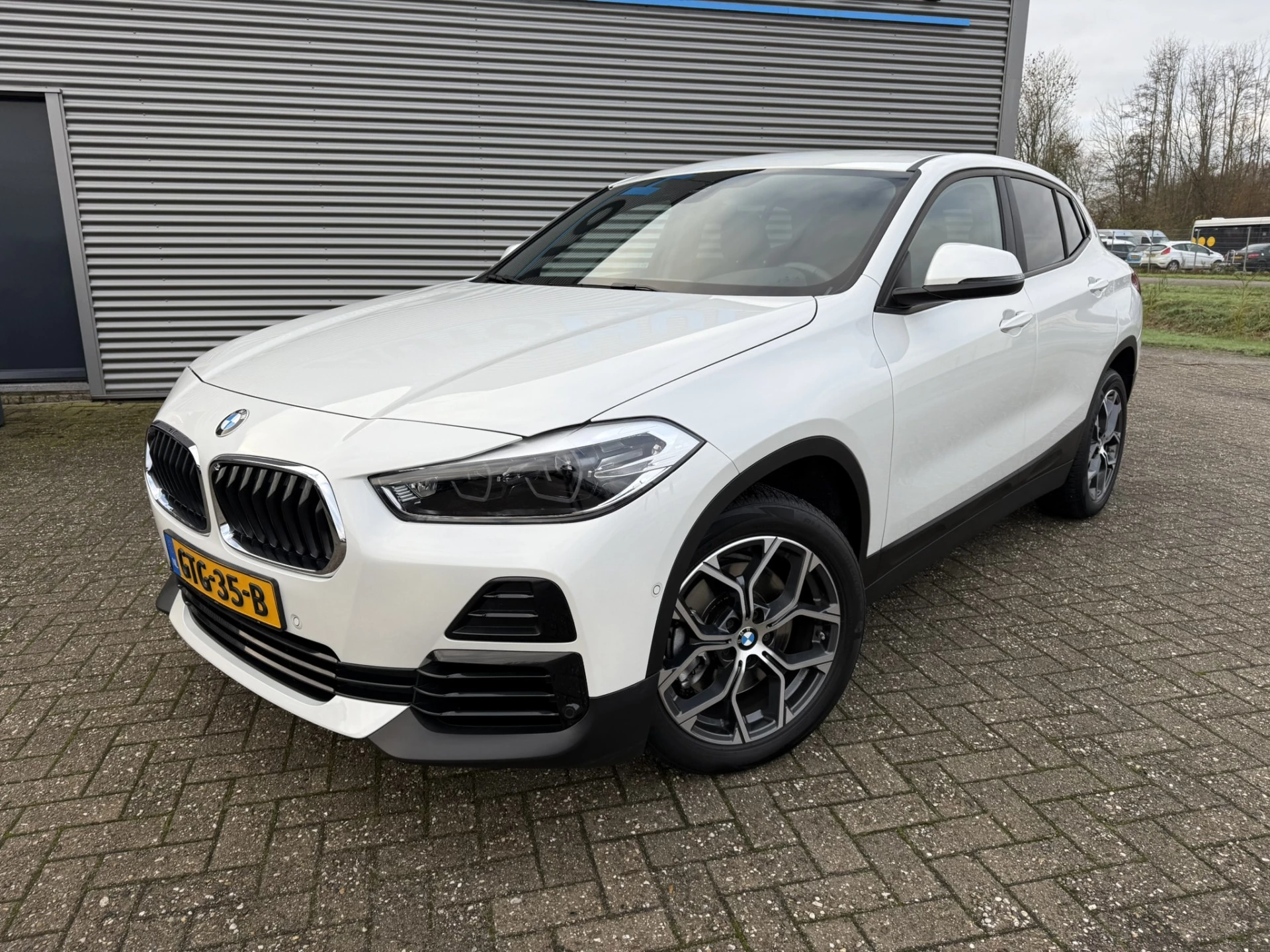 Hoofdafbeelding BMW X2