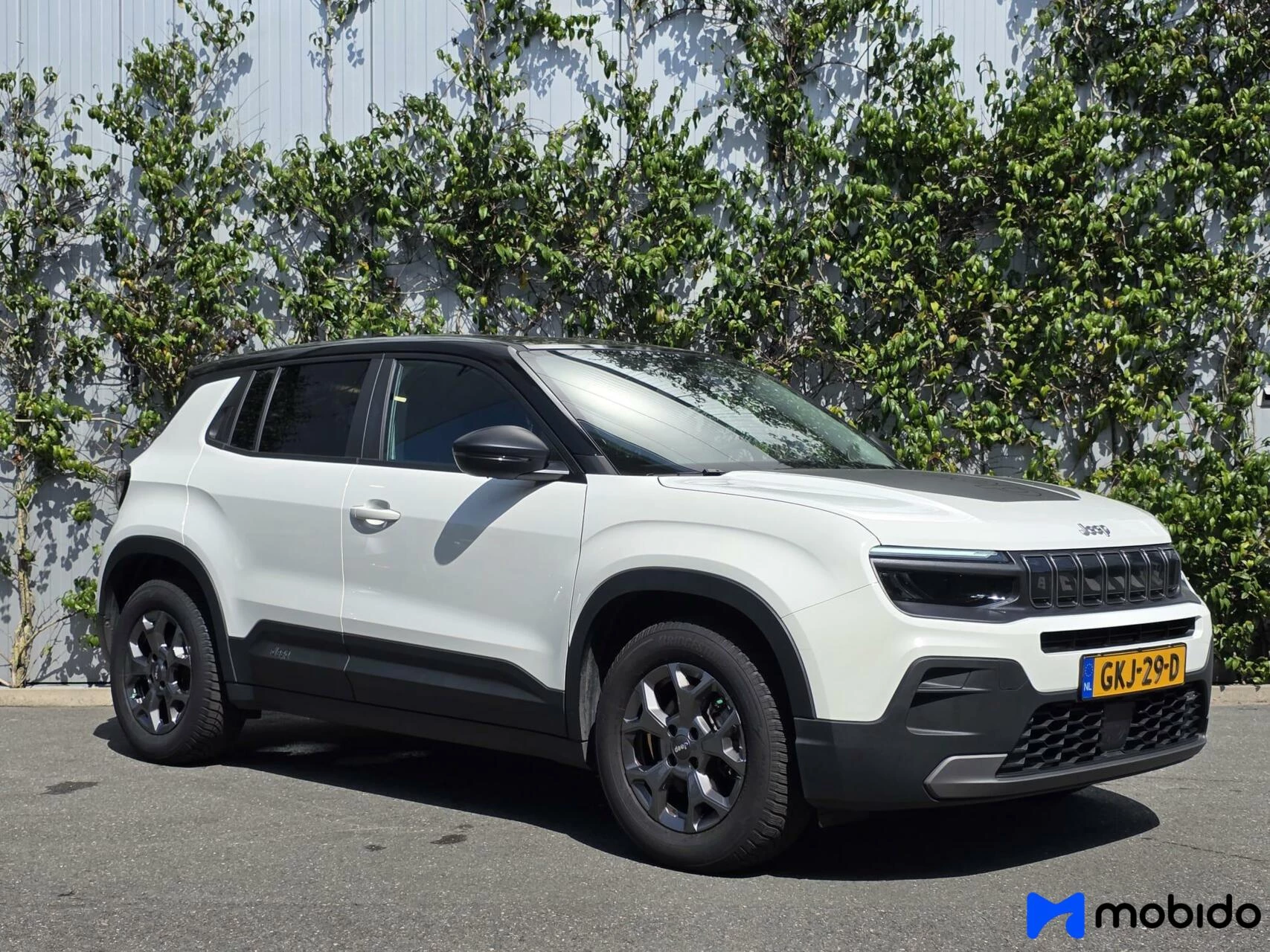 Hoofdafbeelding Jeep Avenger