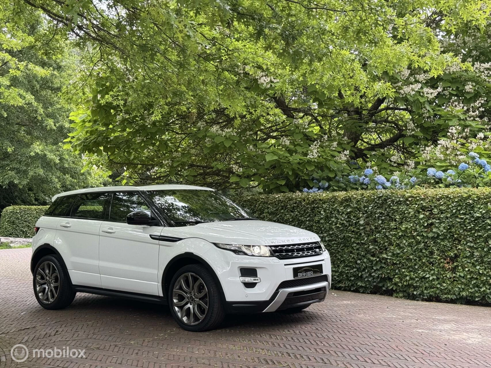 Hoofdafbeelding Land Rover Range Rover Evoque
