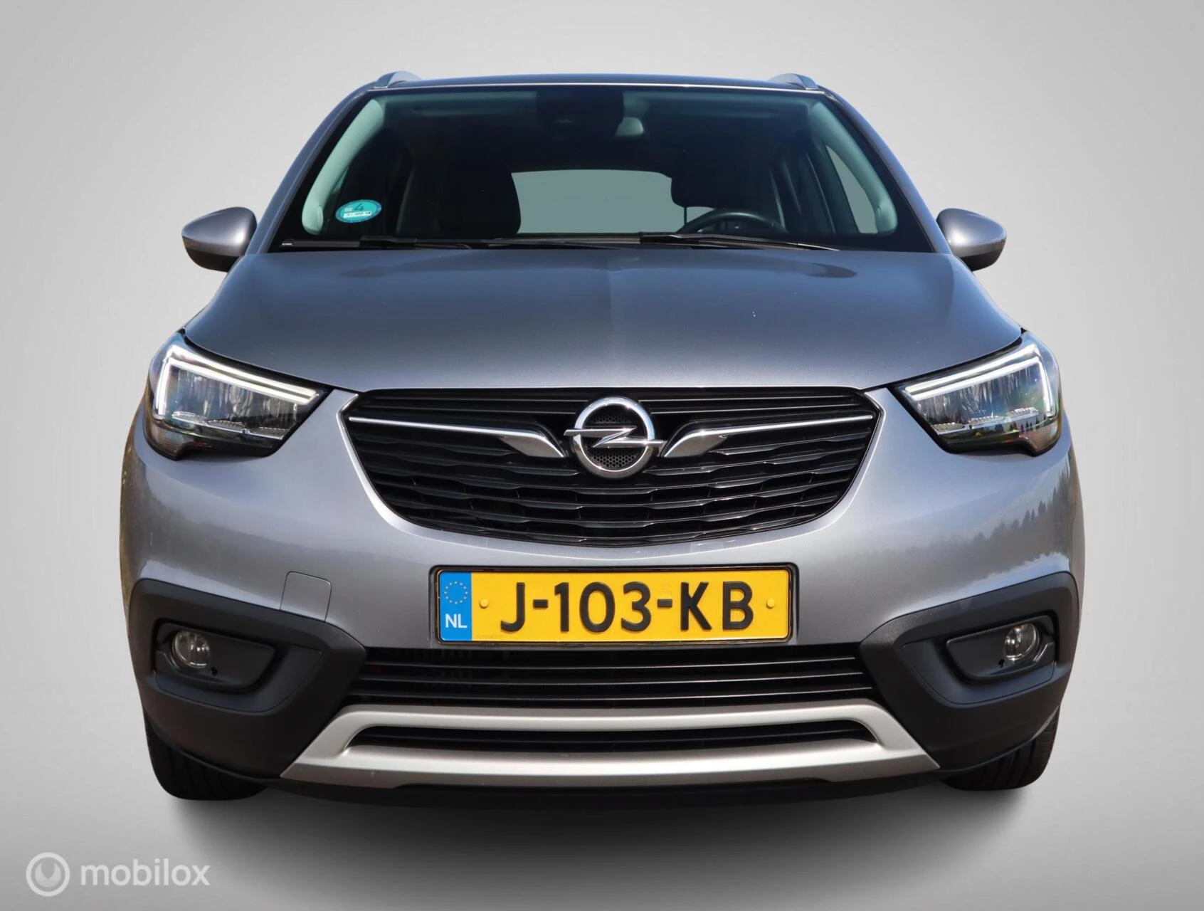 Hoofdafbeelding Opel Crossland X