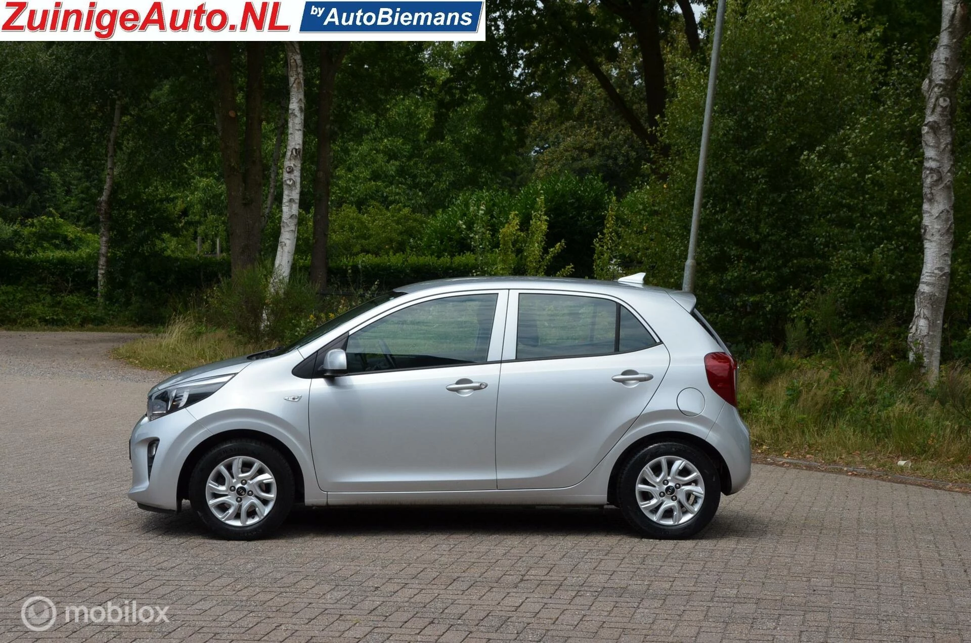 Hoofdafbeelding Kia Picanto
