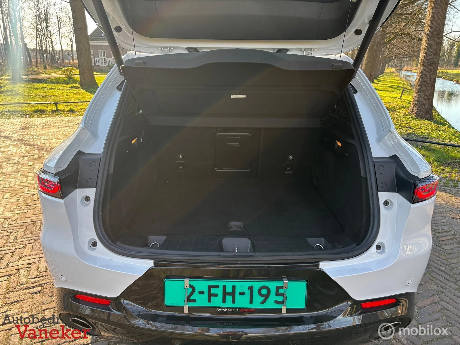 Hoofdafbeelding Alfa Romeo Tonale