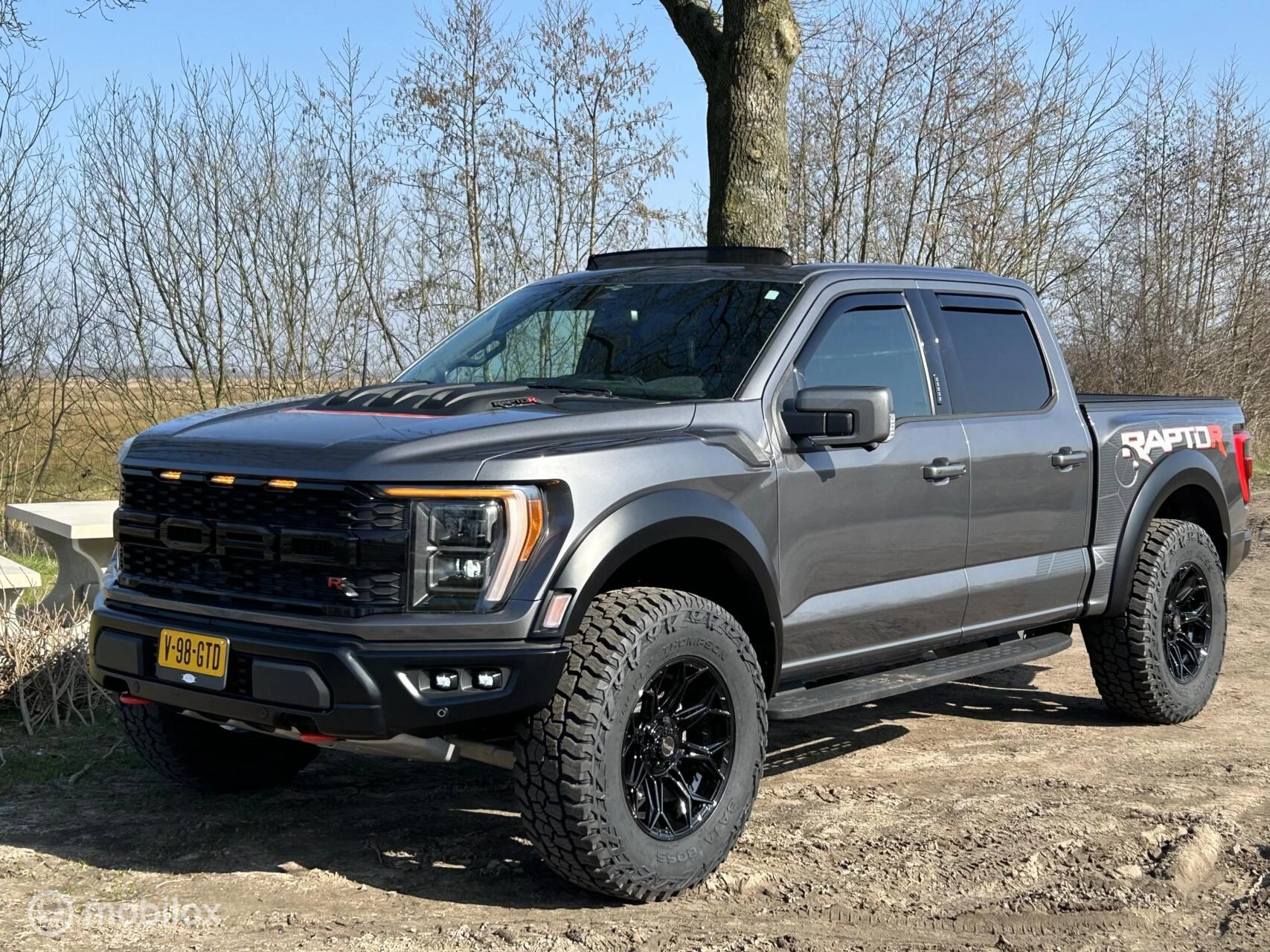 Hoofdafbeelding Ford F-150