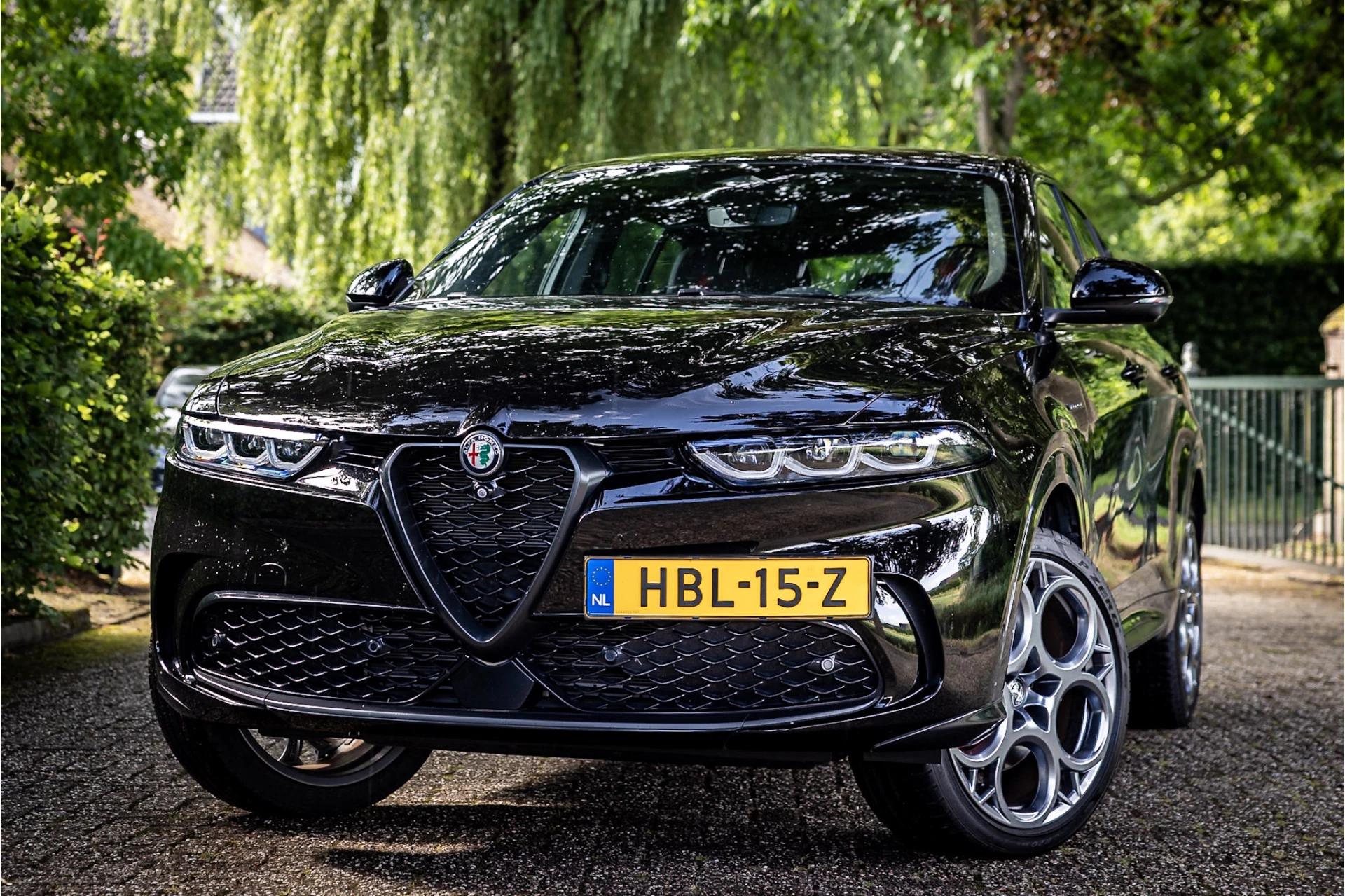 Hoofdafbeelding Alfa Romeo Tonale