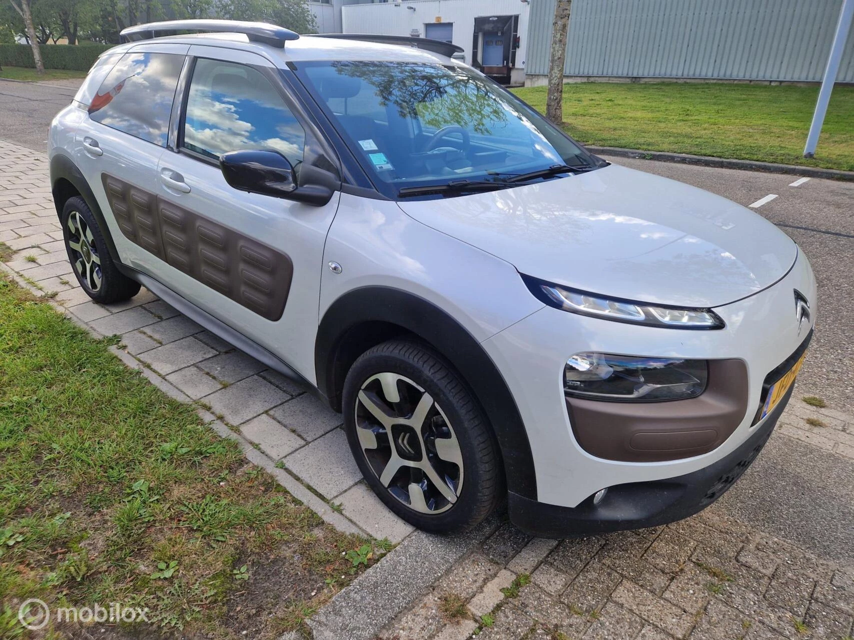 Hoofdafbeelding Citroën C4 Cactus