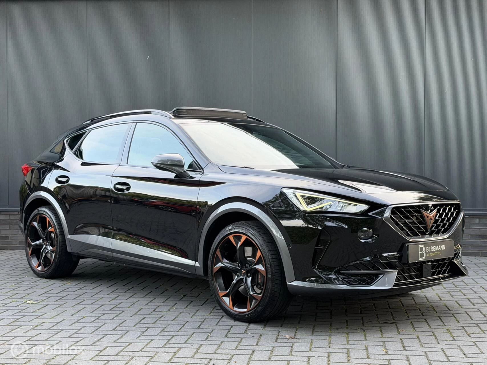 Hoofdafbeelding CUPRA Formentor