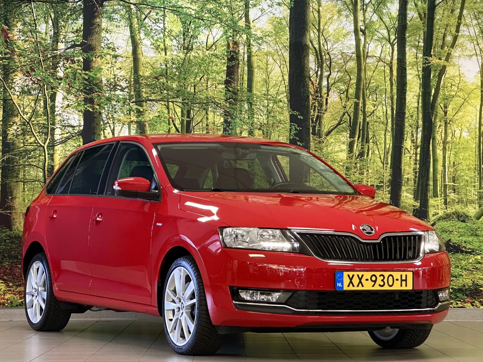 Hoofdafbeelding Škoda Rapid