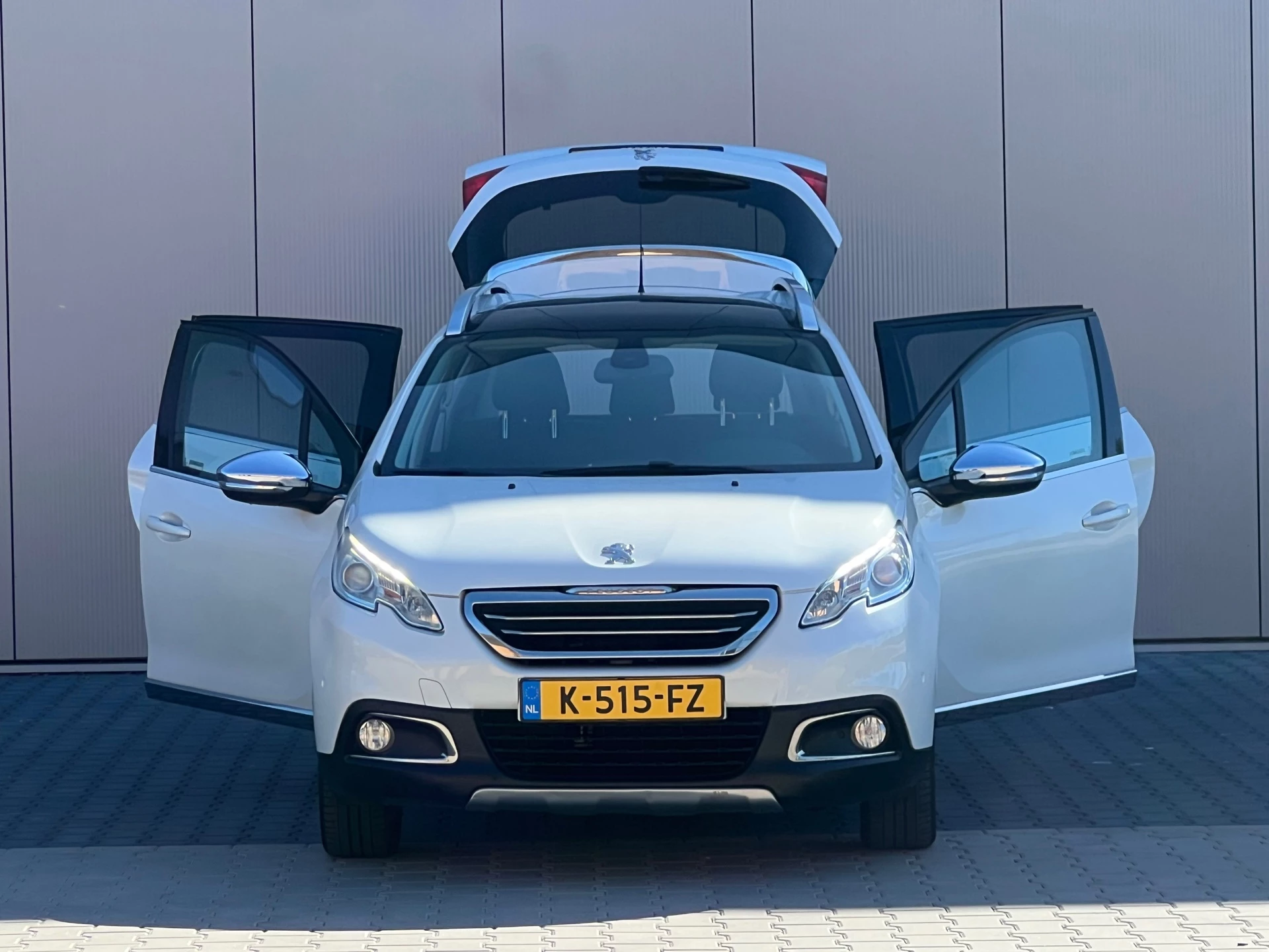Hoofdafbeelding Peugeot 2008