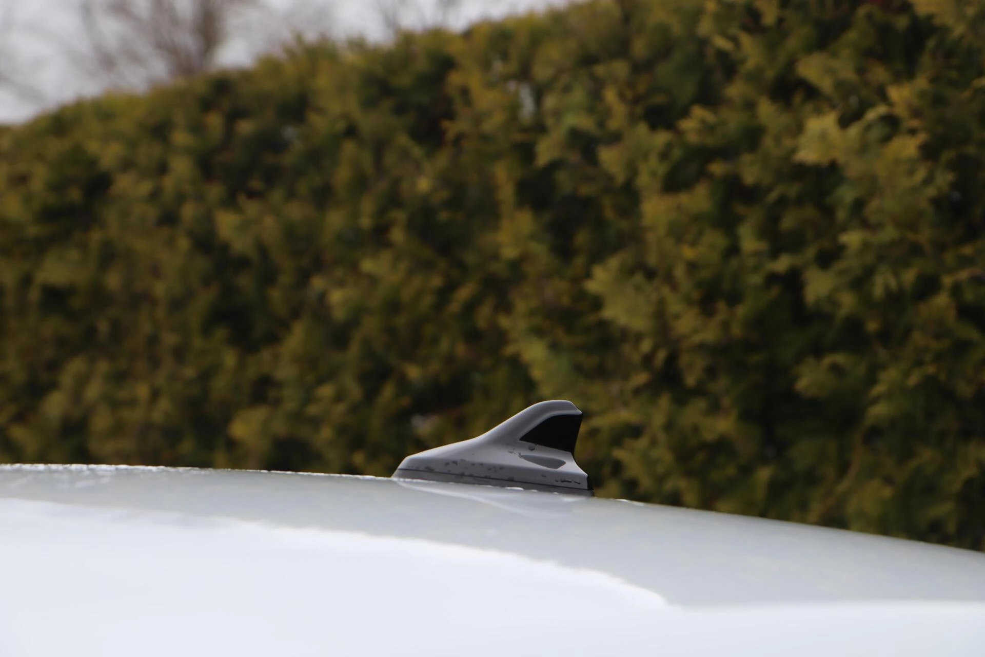 Hoofdafbeelding Audi Q4 Sportback e-tron